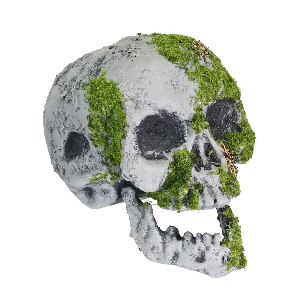 Moss Skull 16cm