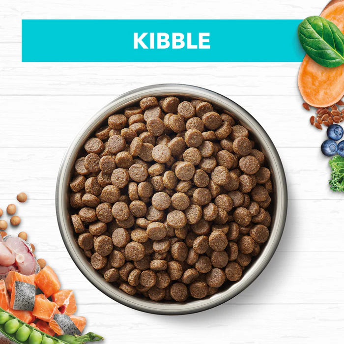 Ivory Coat Kitten Grain Free Ocean Fish 2kg