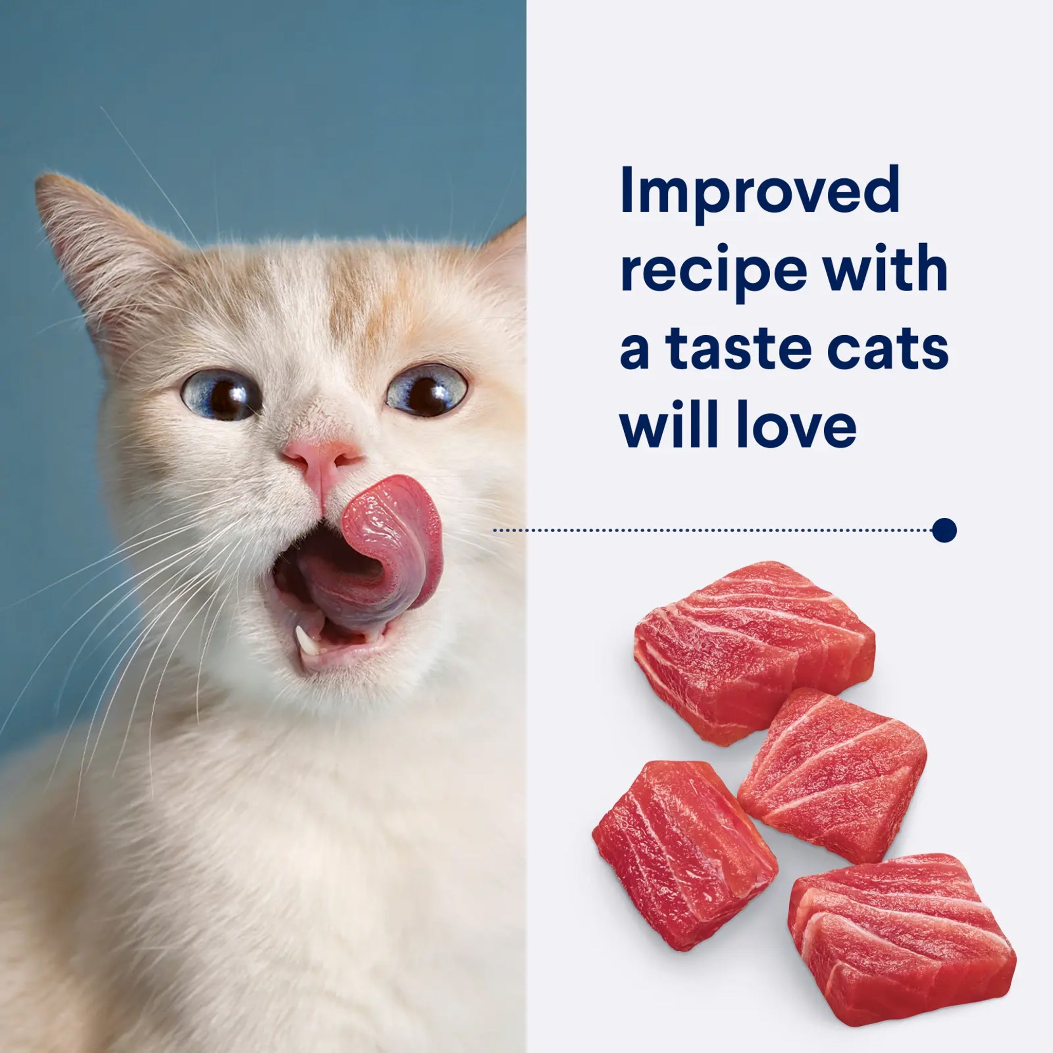 Advance Adult Dry Cat Food