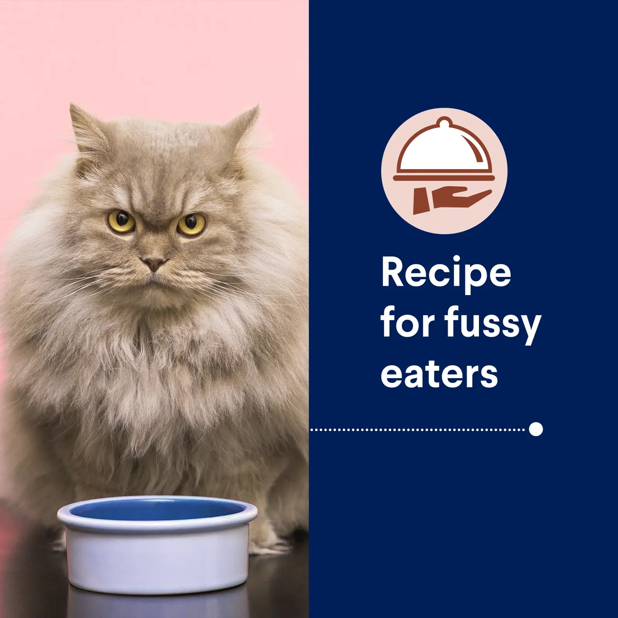 Advance Adult Dry Cat Food