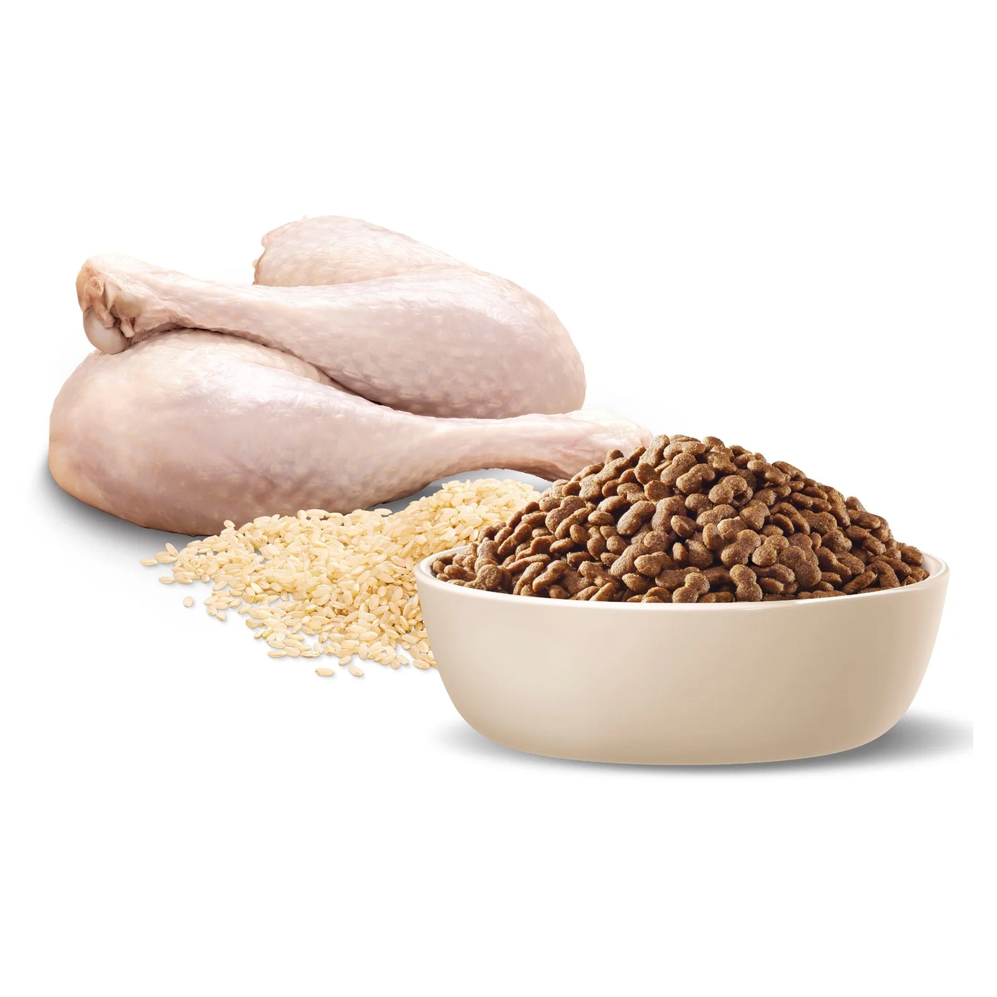 Advance Adult Small Breed Turkey with Rice Dry Dog Food