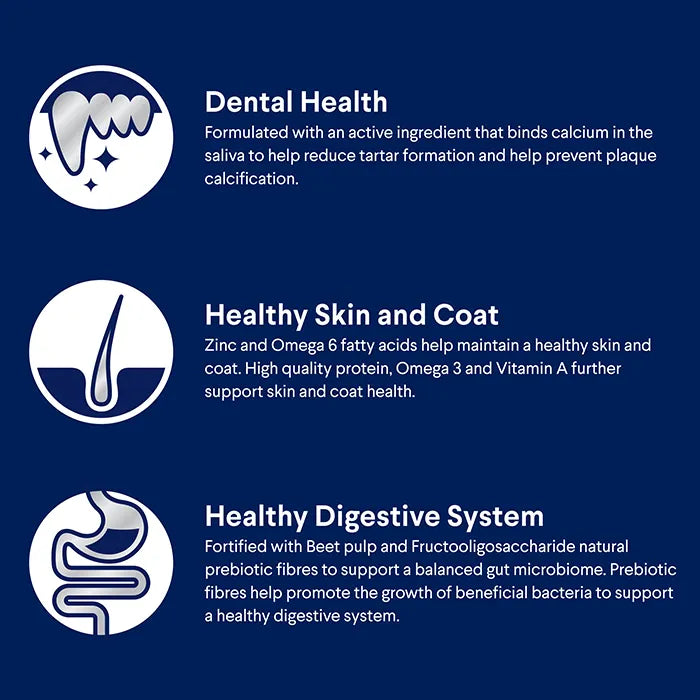 Advance Adult All Breed Dry Dog Food