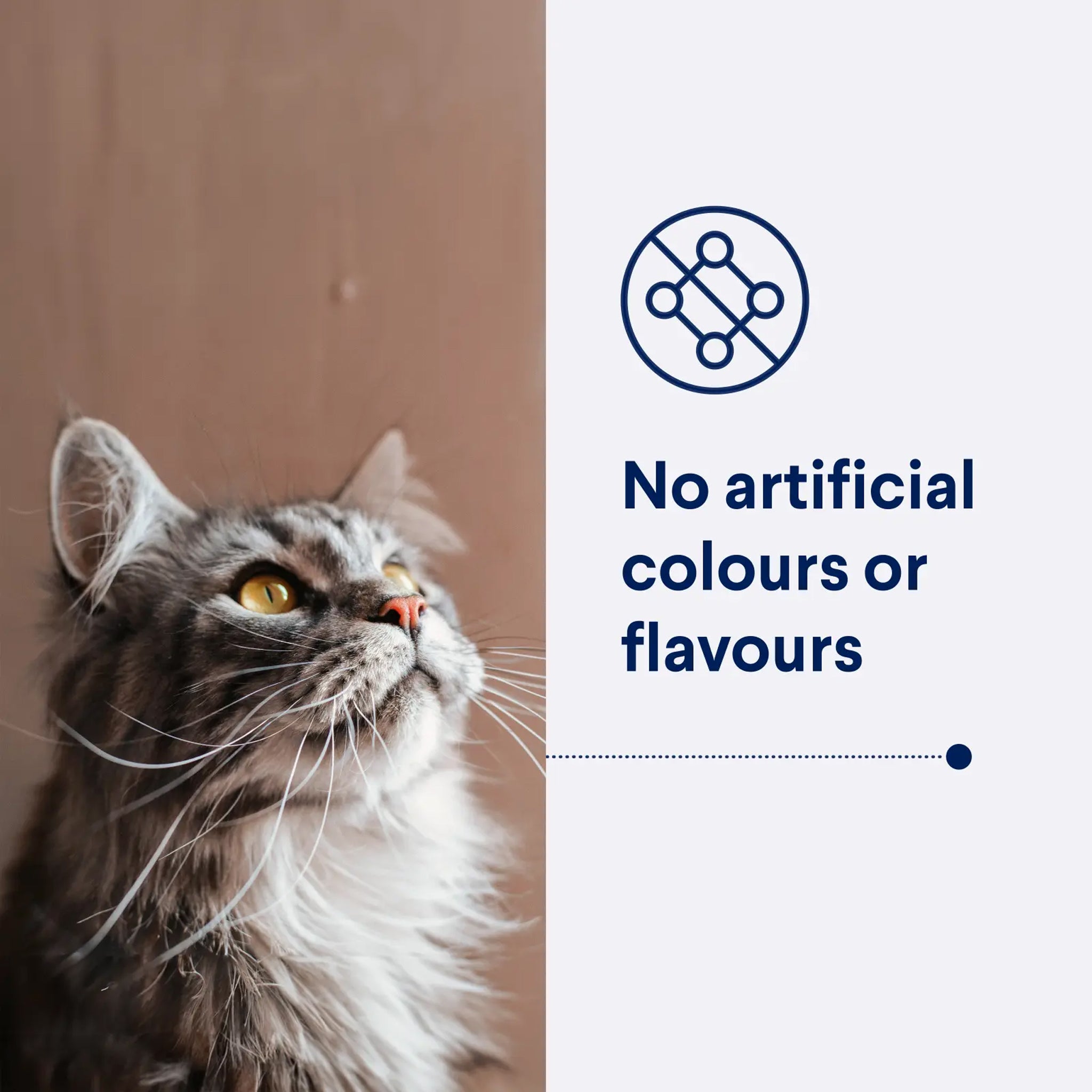 Advance Cat Adult Healthy Ageing Chicken