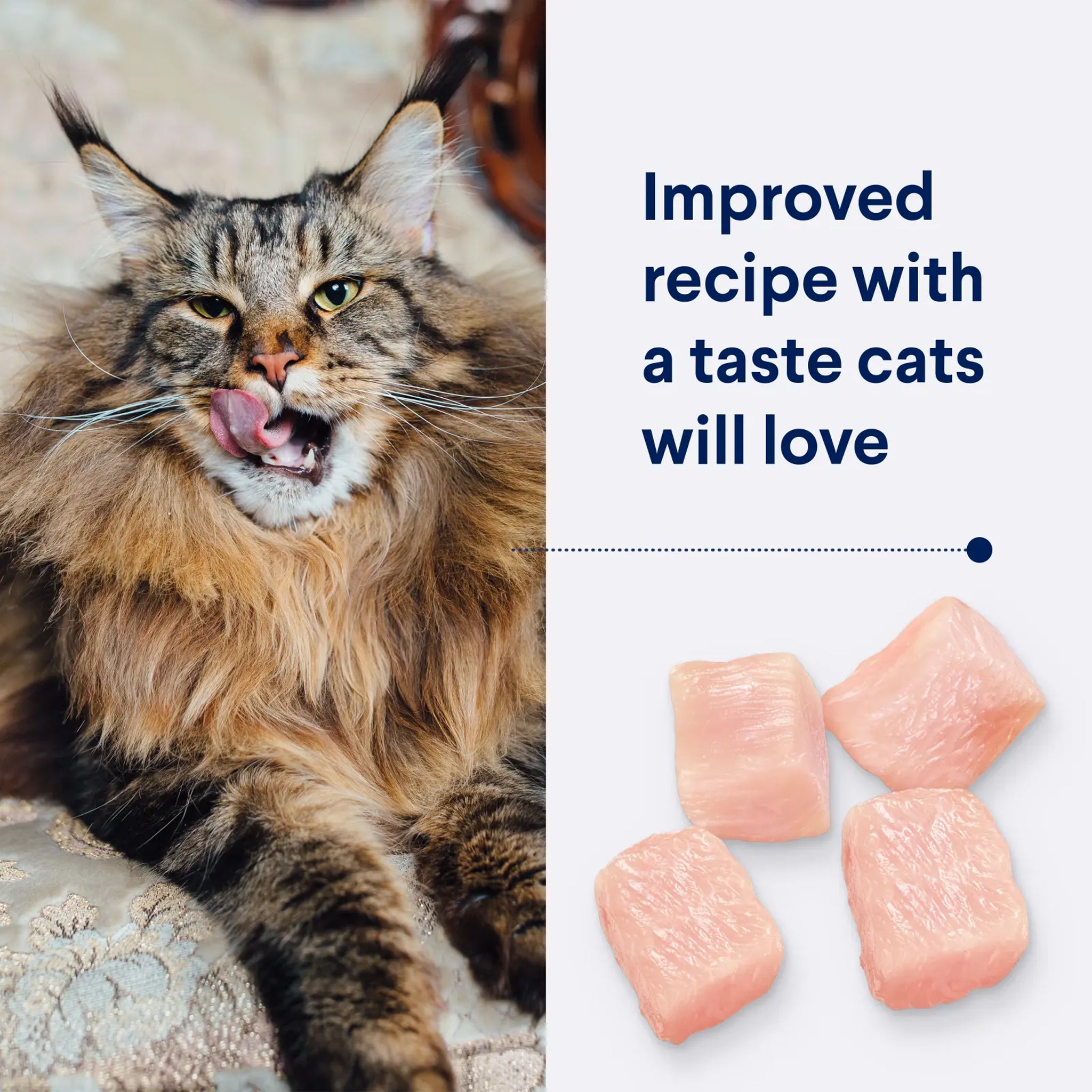 Advance Cat Adult Healthy Ageing Chicken