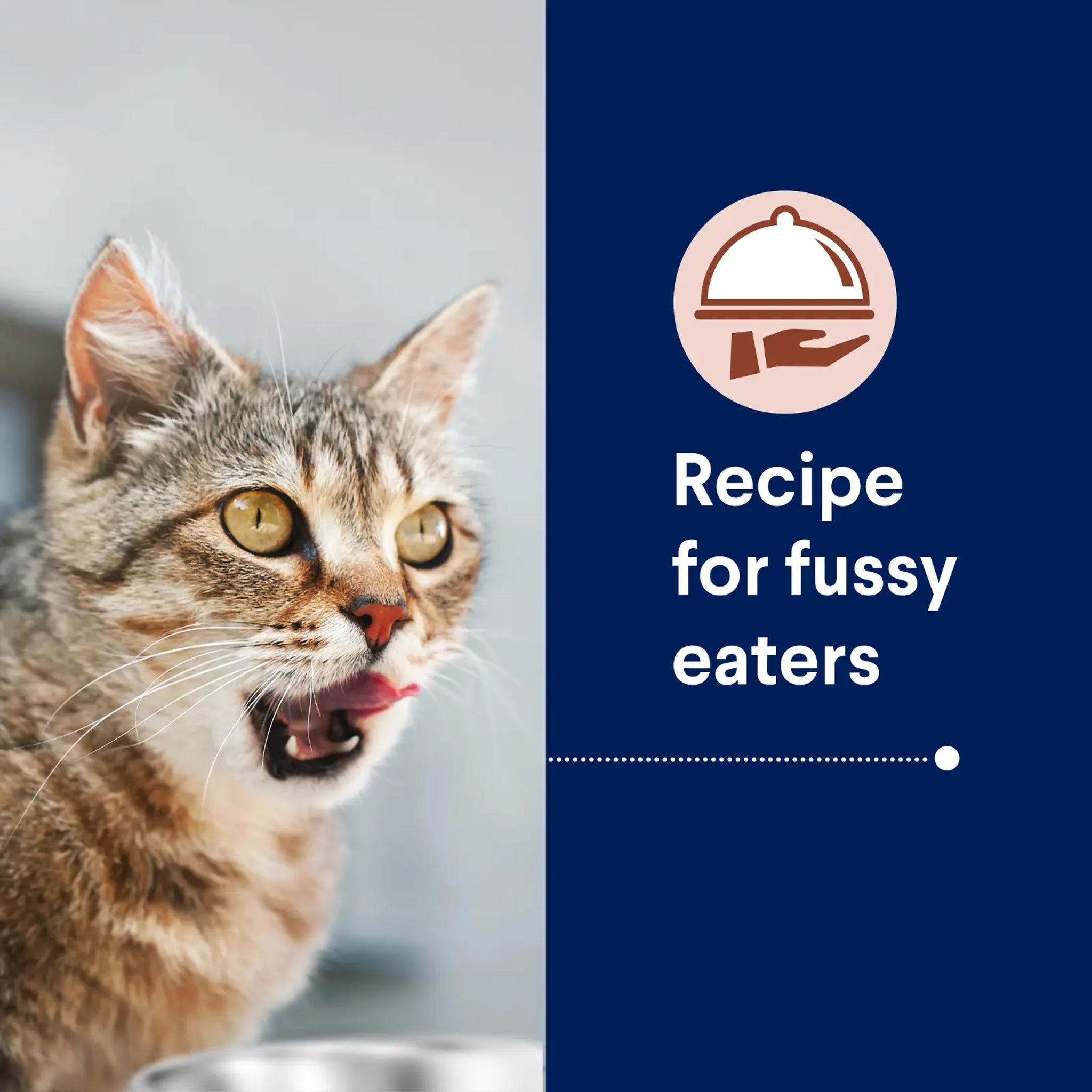 Advance Cat Adult Healthy Ageing Chicken