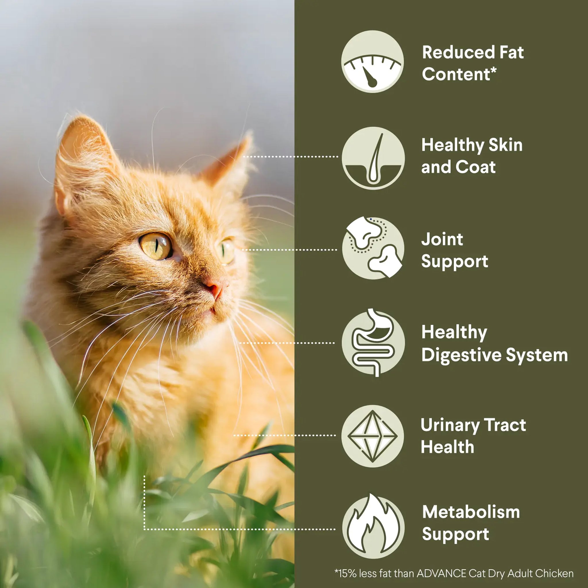 Advance Cat Adult Healthy Weight Chicken