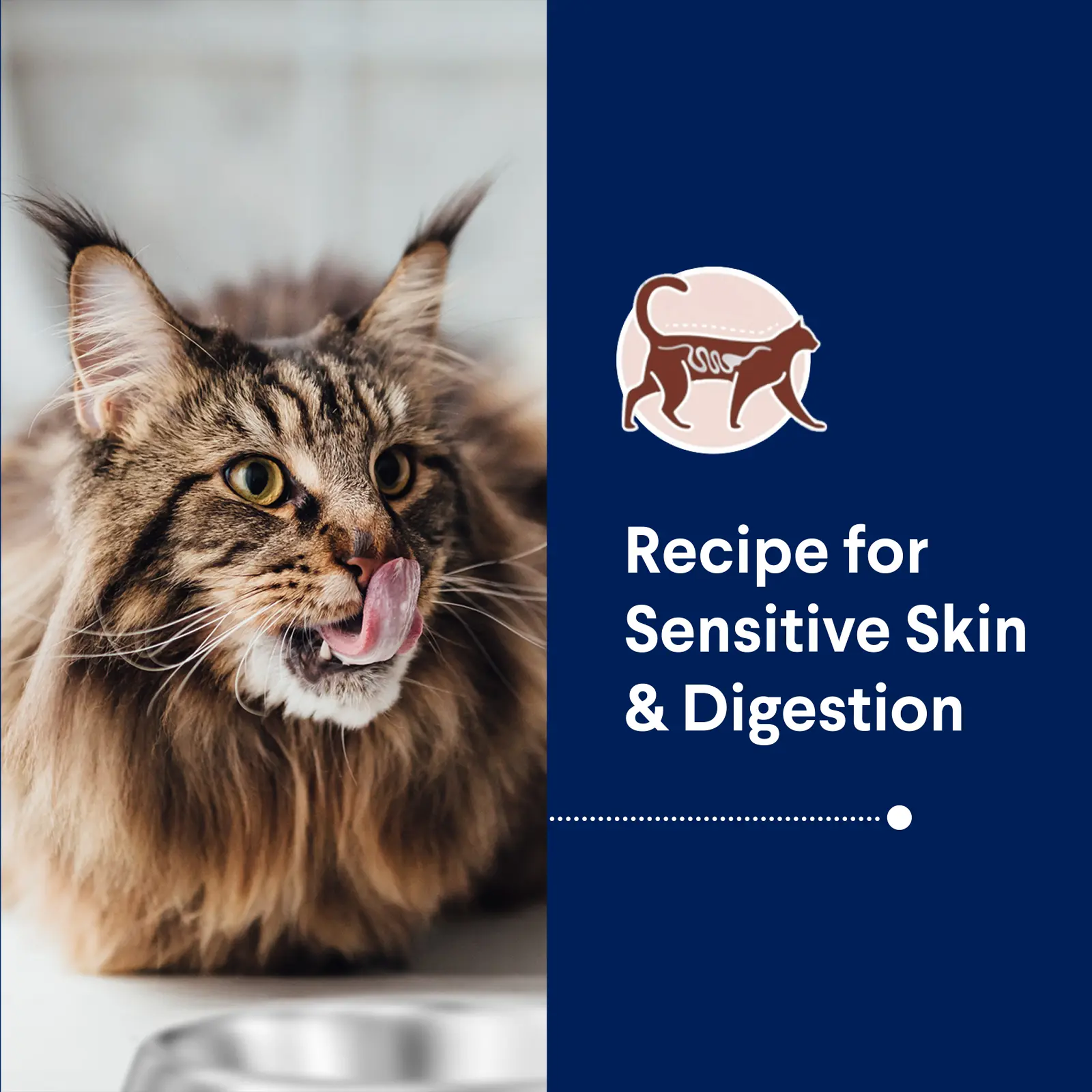 Advance Cat Adult Sensitive Skin & Digestion Turkey
