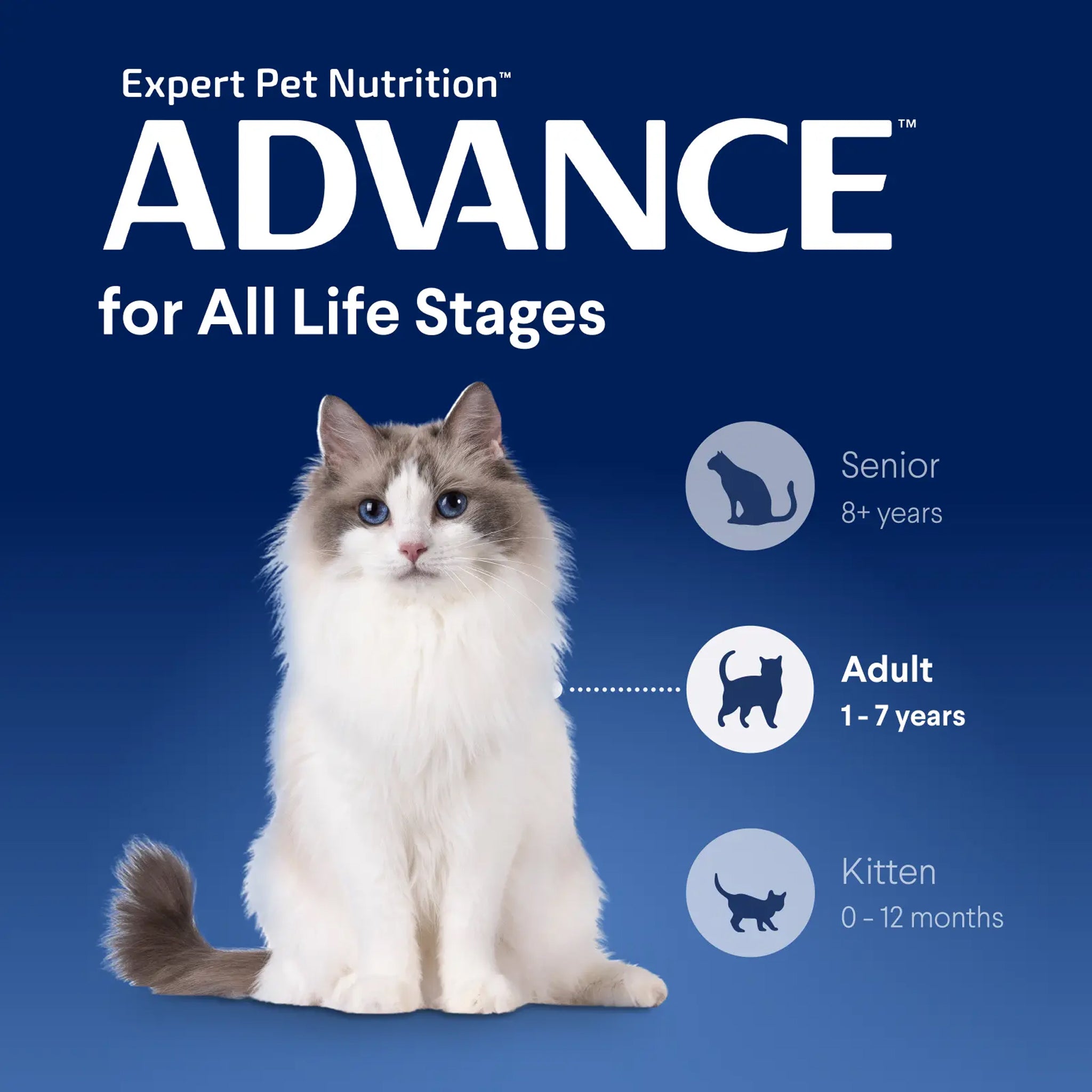 Advance Cat Adult Triple Action Dental Chicken