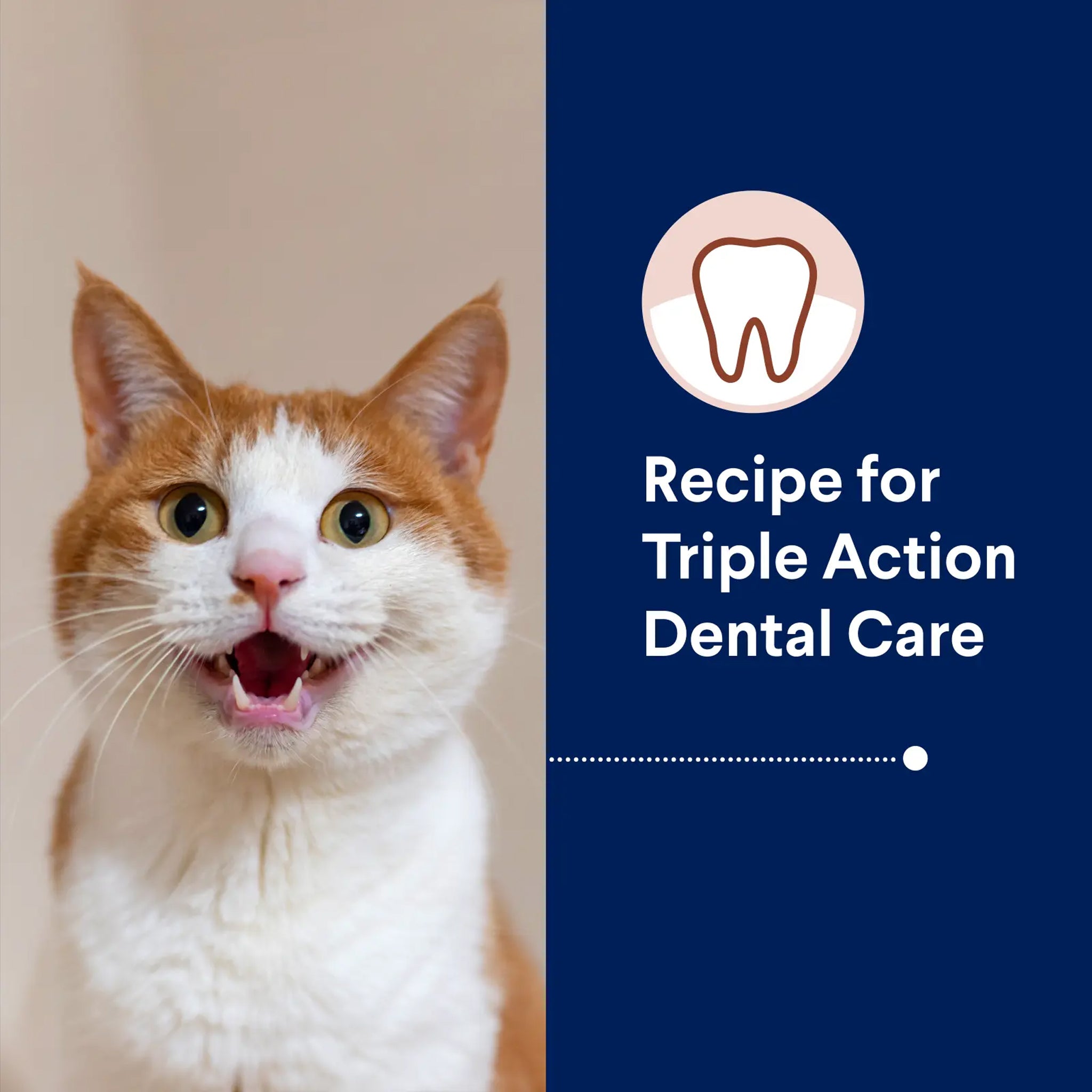 Advance Cat Adult Triple Action Dental Chicken