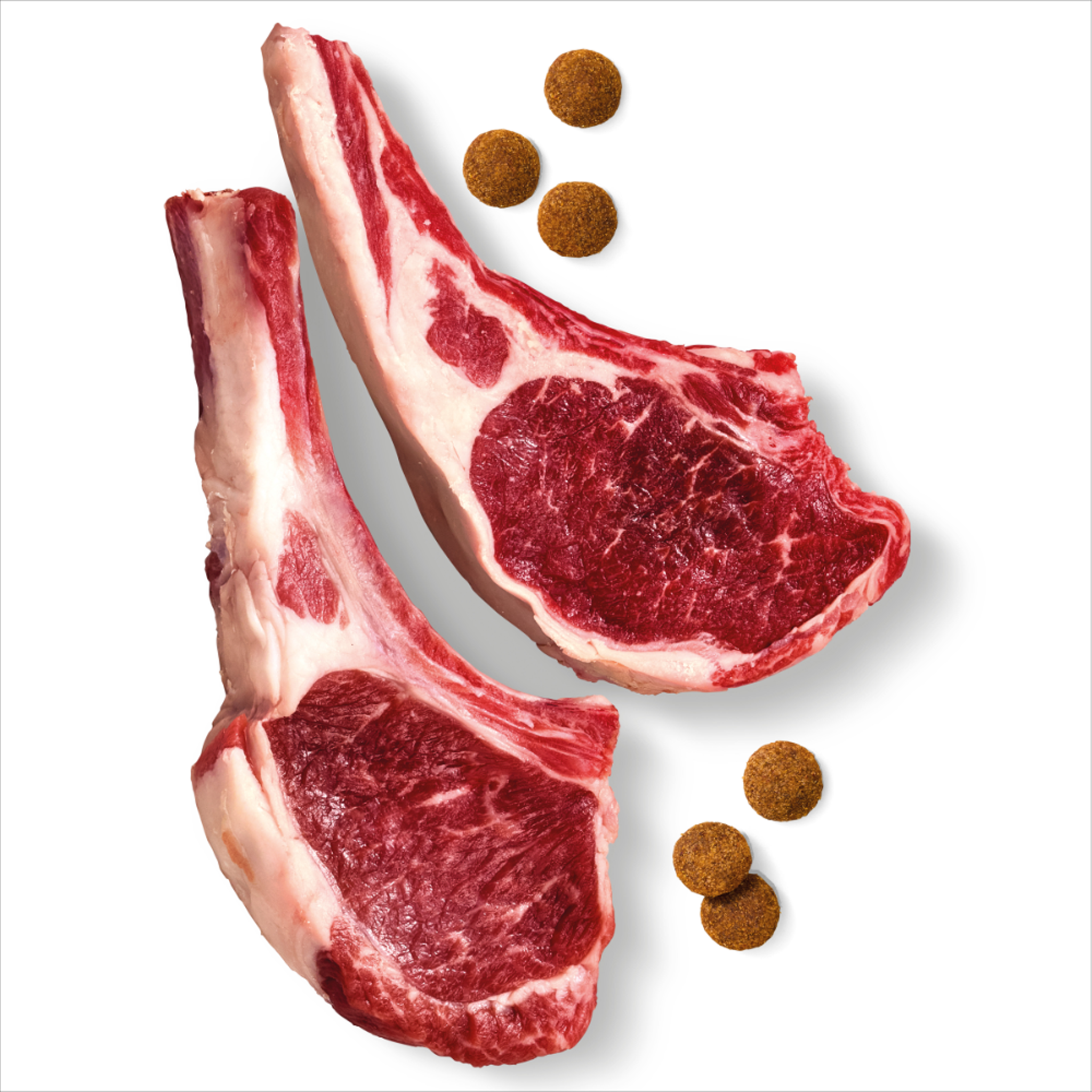 Advance Dog High Protein GF Adult Lamb