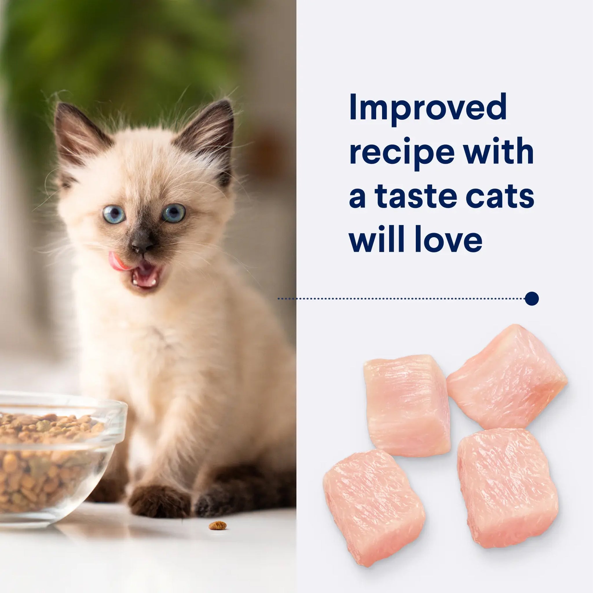 Advance Kitten Chicken