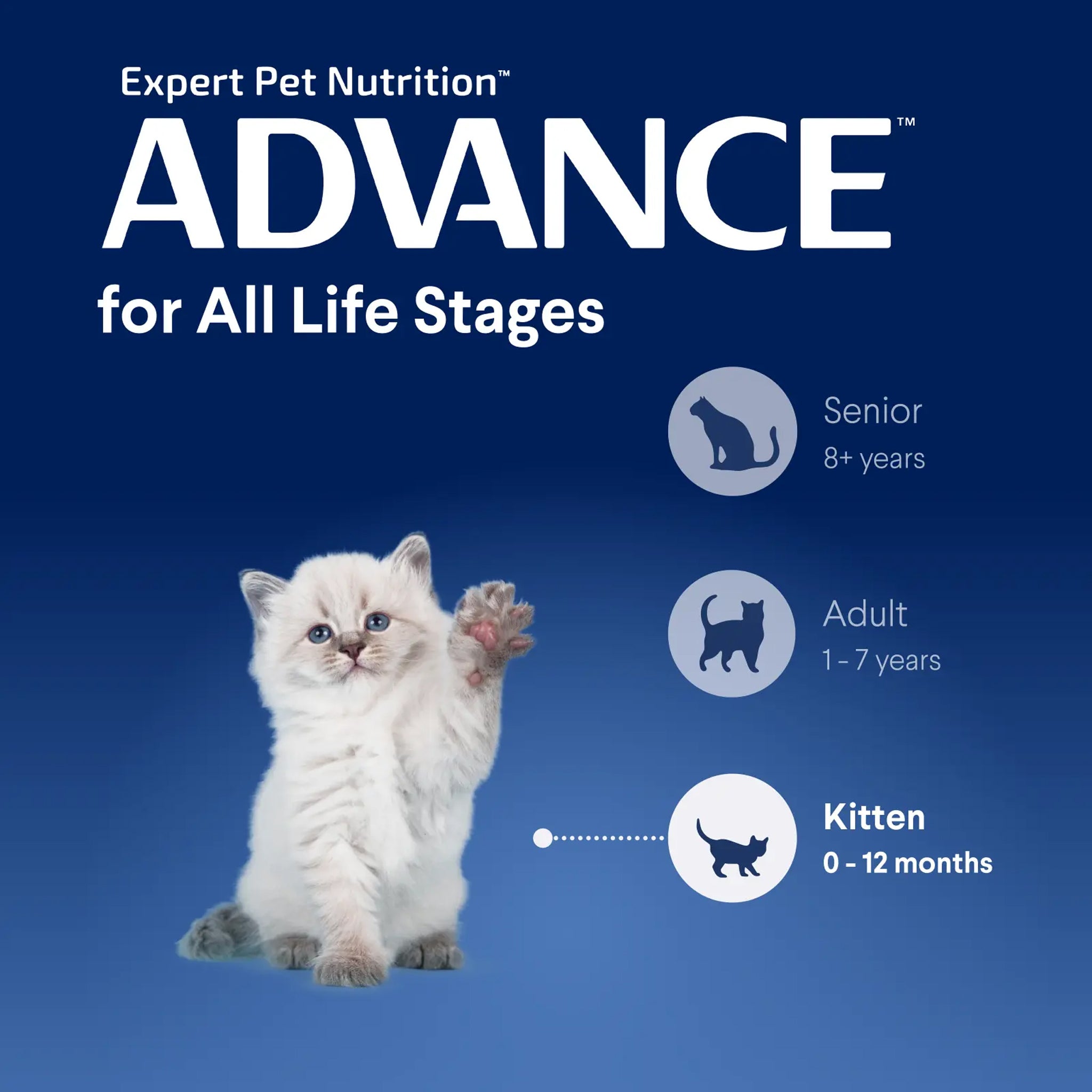 Advance Kitten Chicken