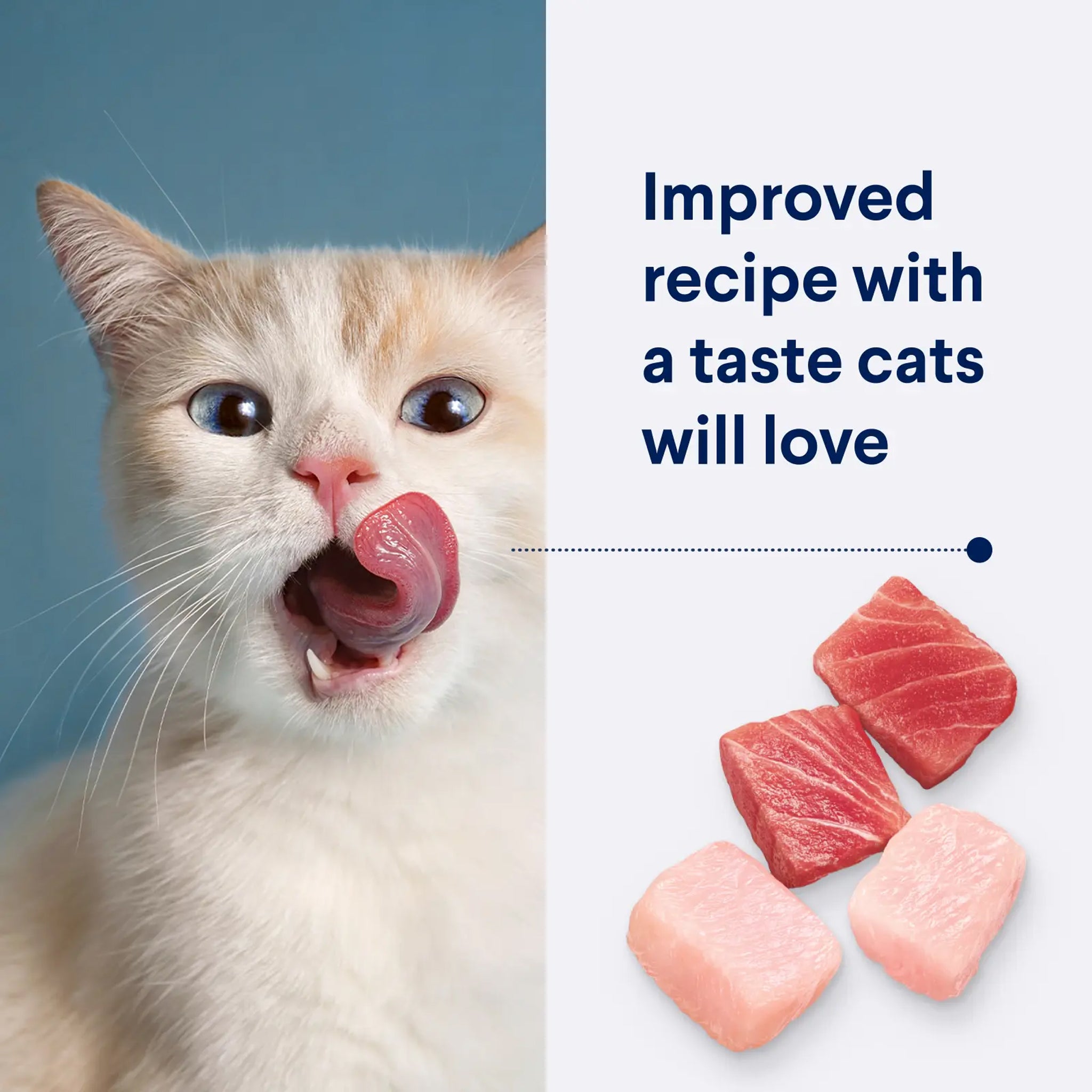Advance Multi-Cat Adult Chicken & Ocean Fish