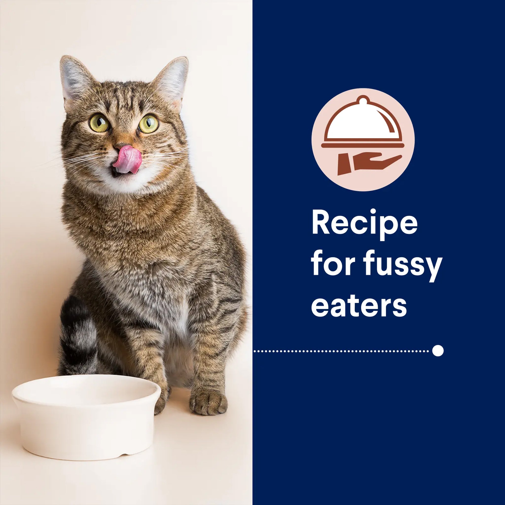 Advance Multi-Cat Adult Chicken & Ocean Fish