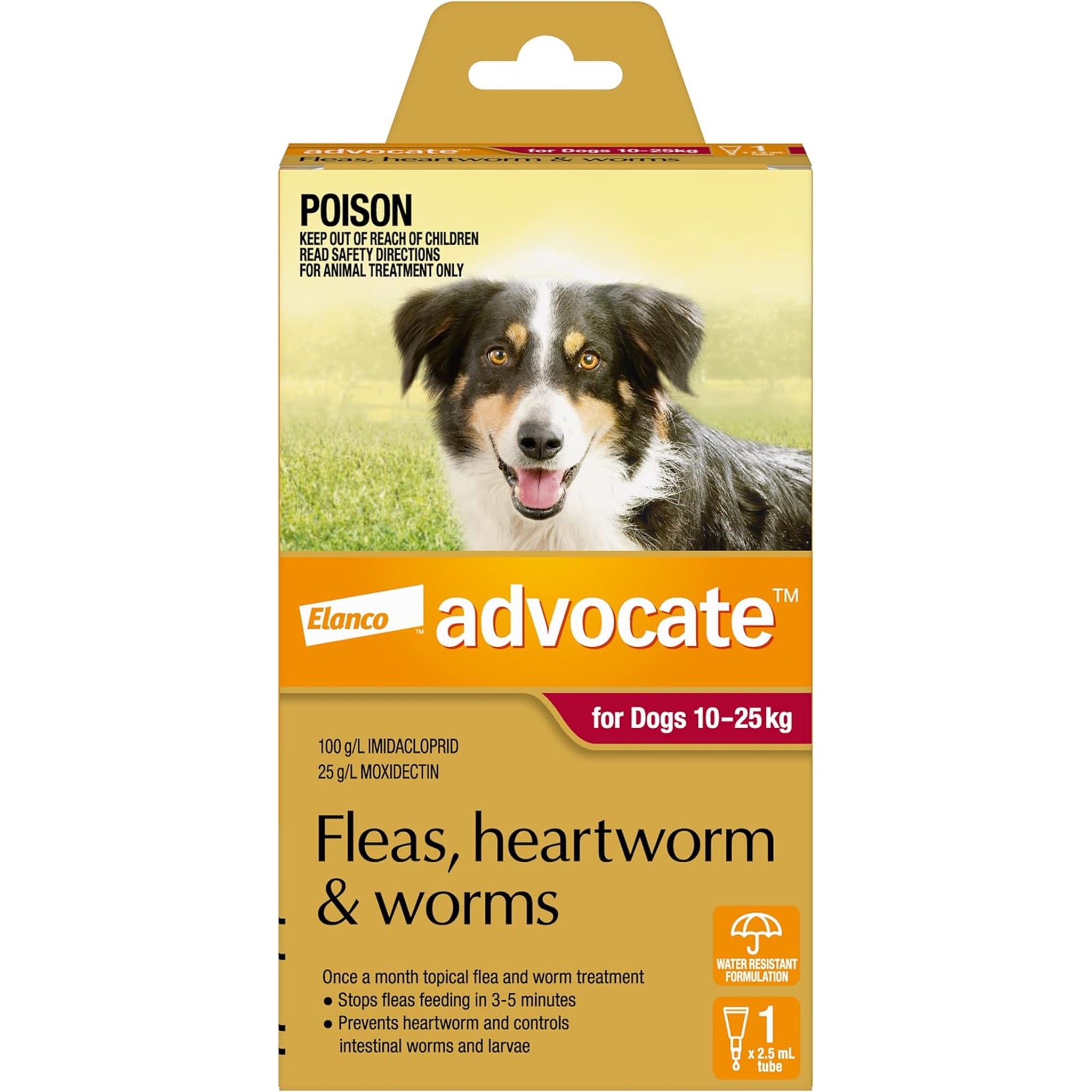 Advocate