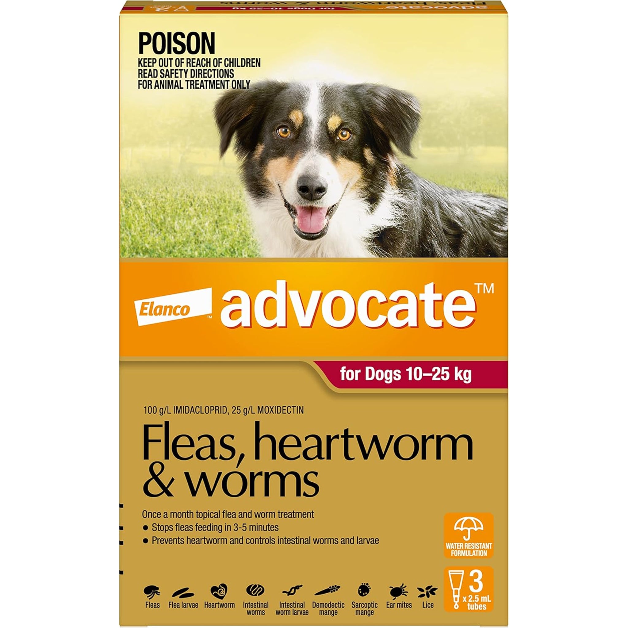 Advocate