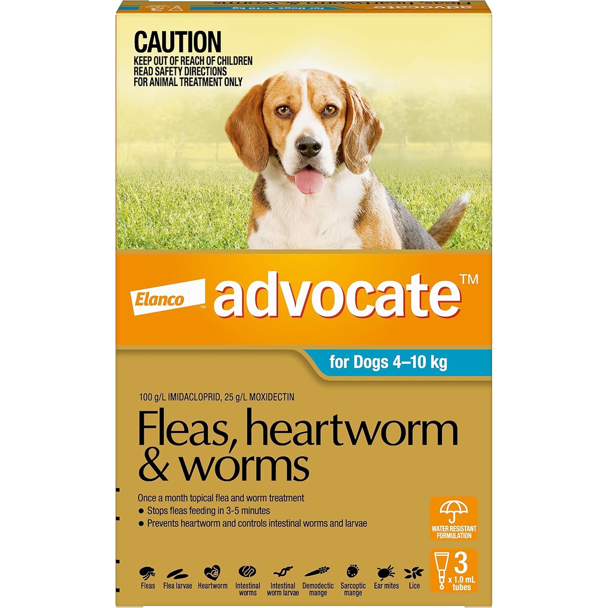 Advocate
