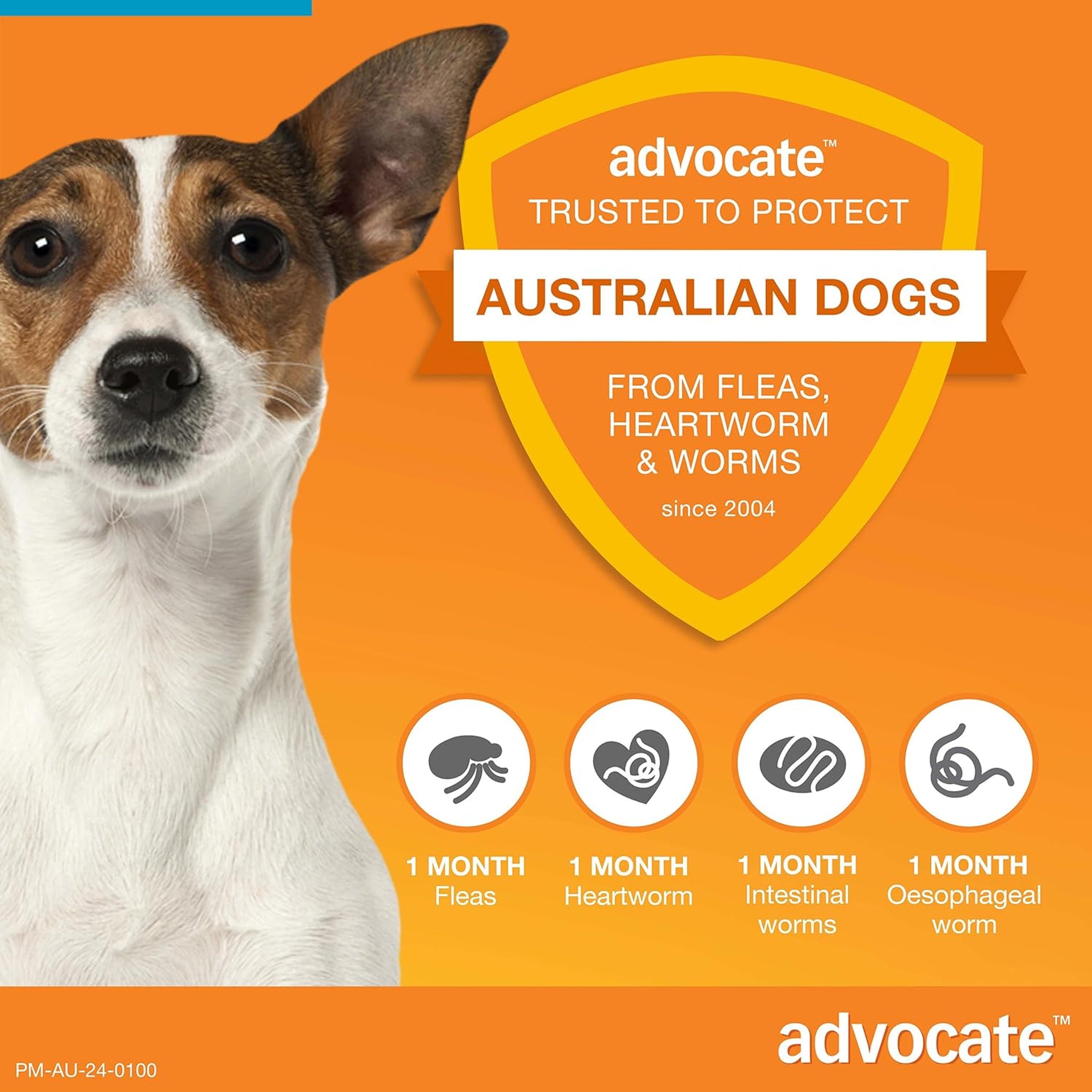 Advocate