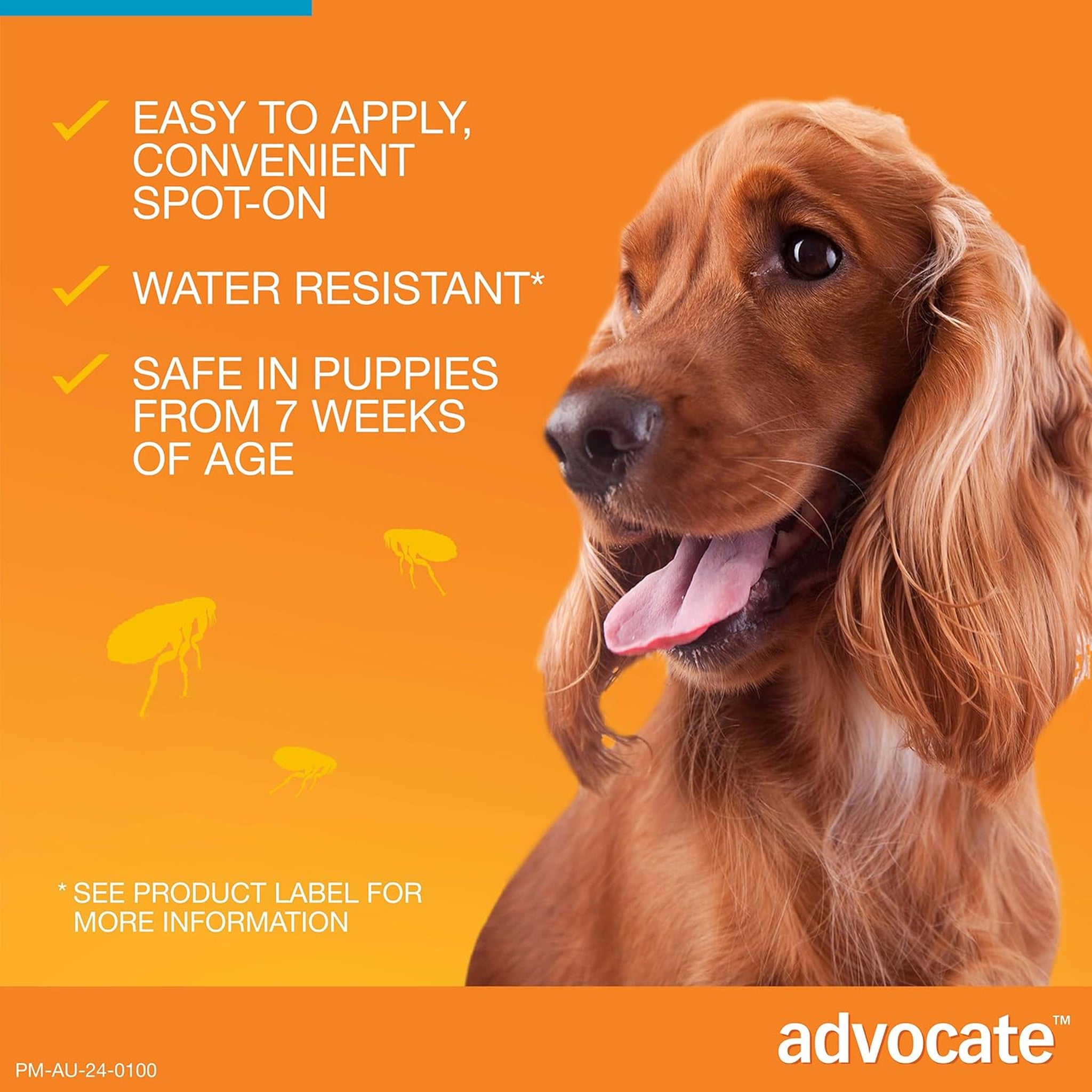 Advocate