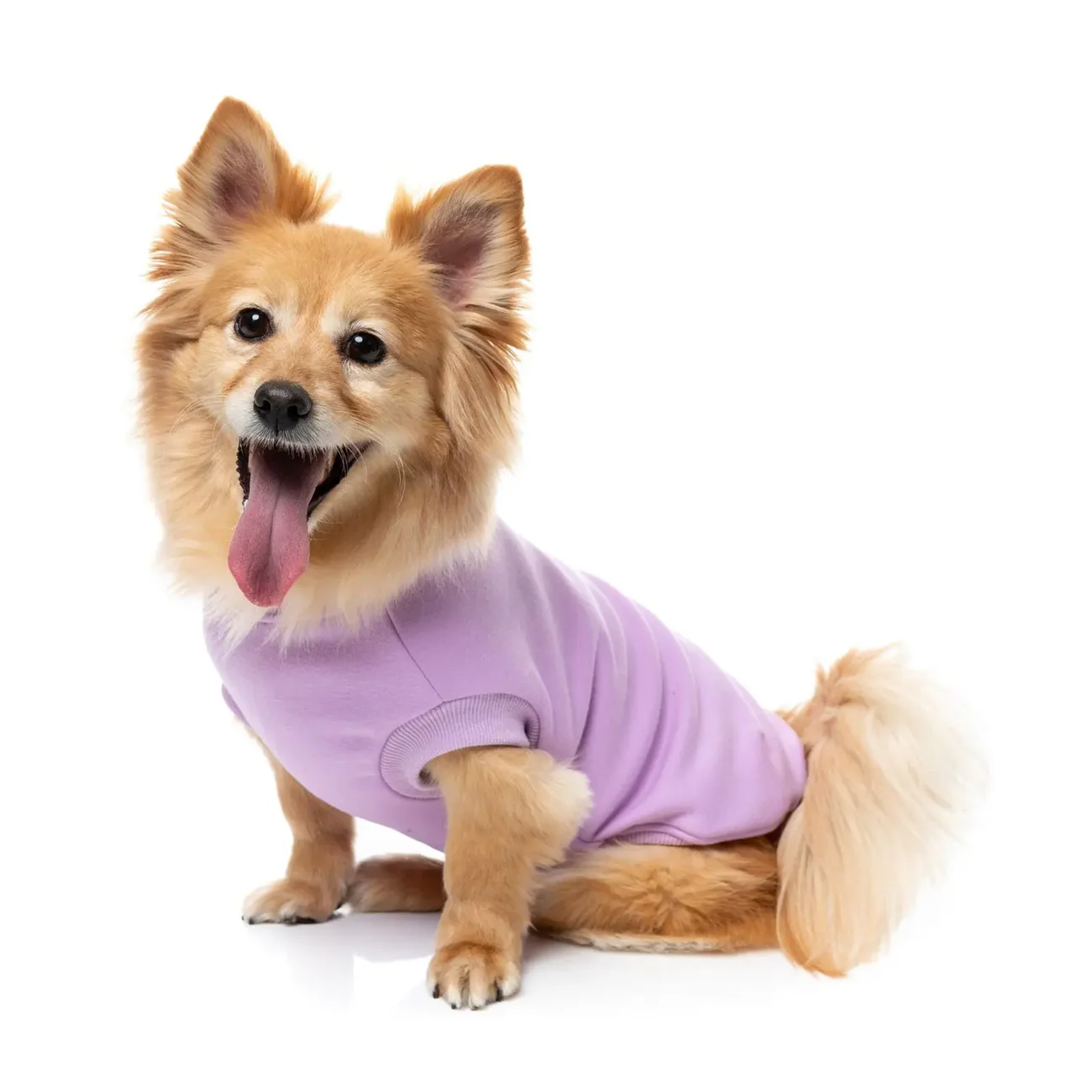 FuzzYard Allday Sweater