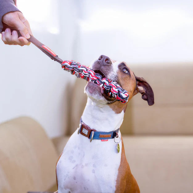 EzyDog Beaver Tail Floating Dog Toy