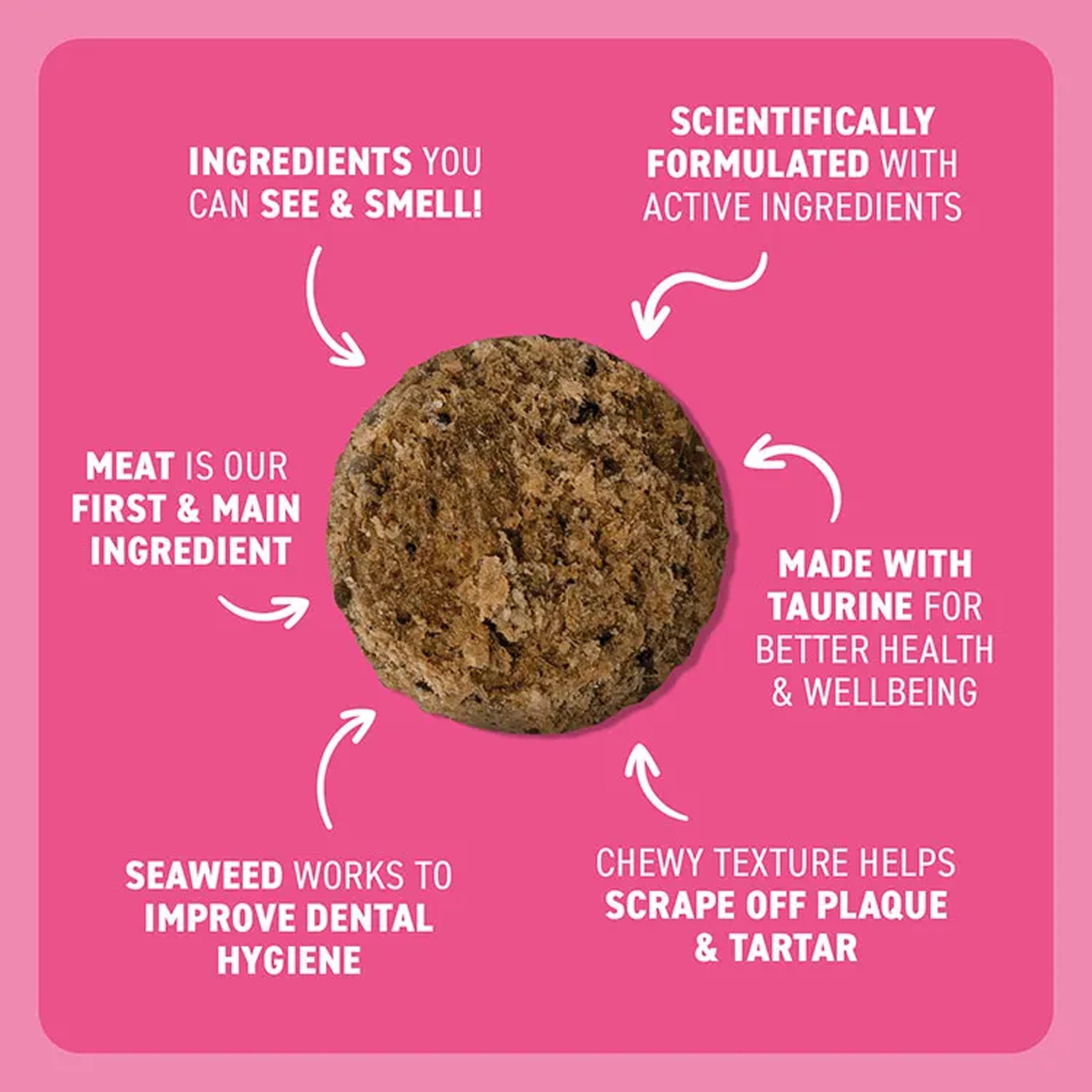 Bell & Bone Dental Bites for Cats – Chicken, Salmon & Tuna