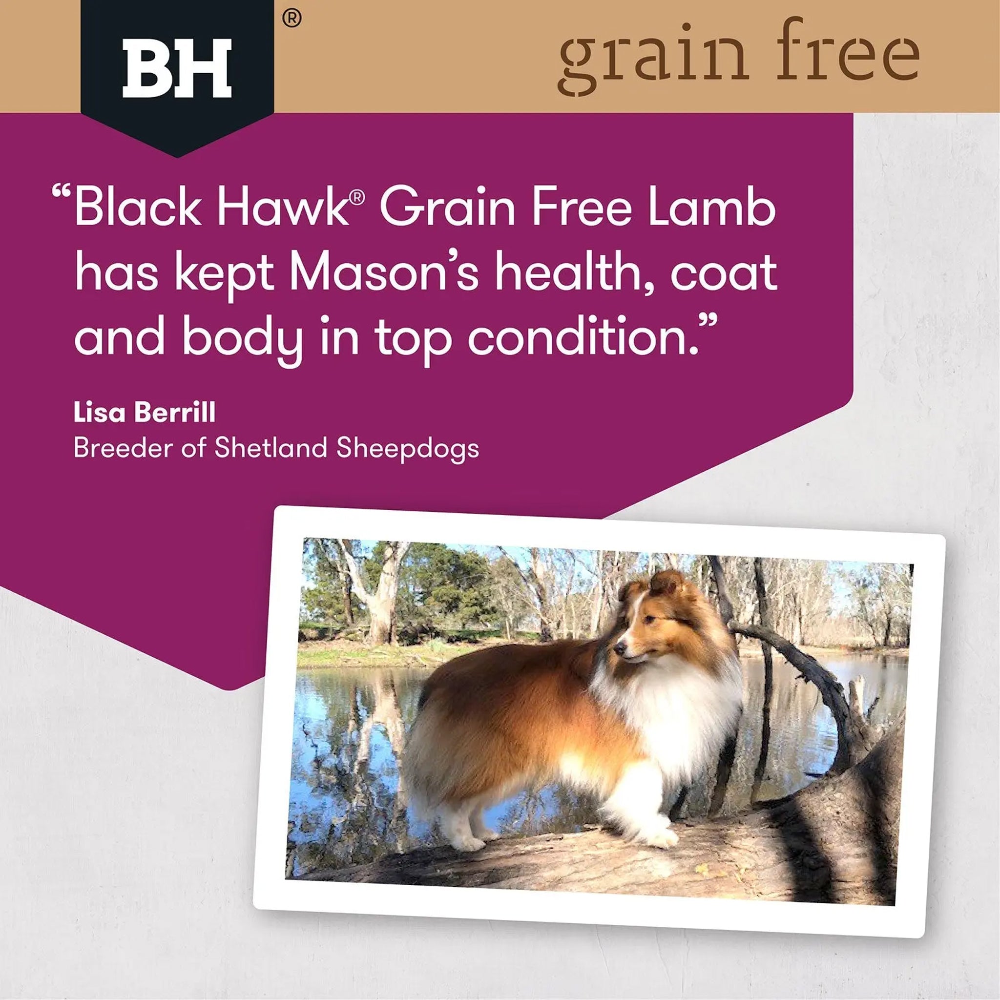 Black Hawk Adult Grain Free Lamb Dry Dog Food 15kg