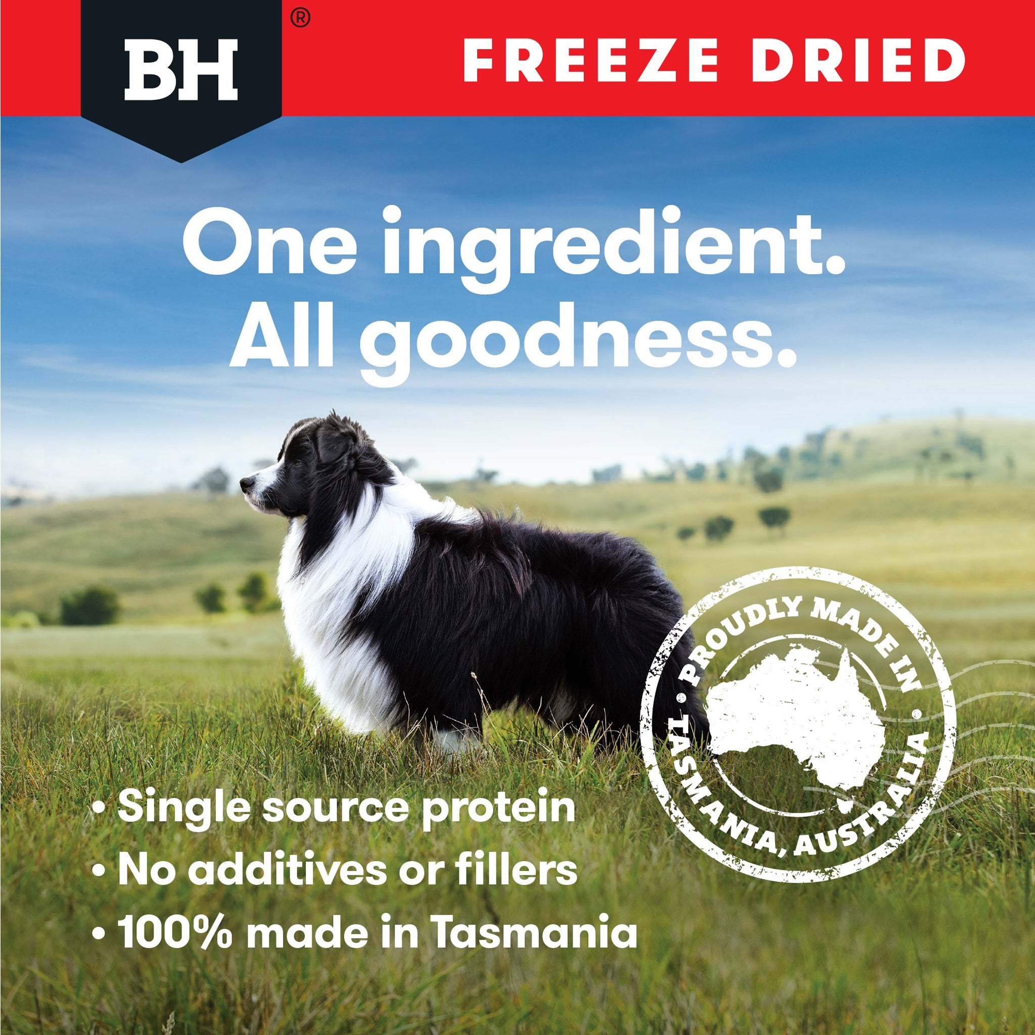 Black Hawk Freeze Dried Dog Treats