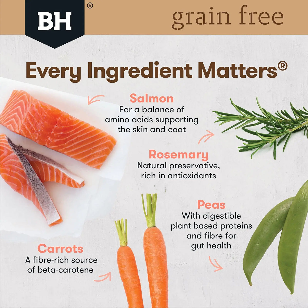 Black Hawk Adult Grain Free Salmon Dry Dog Food