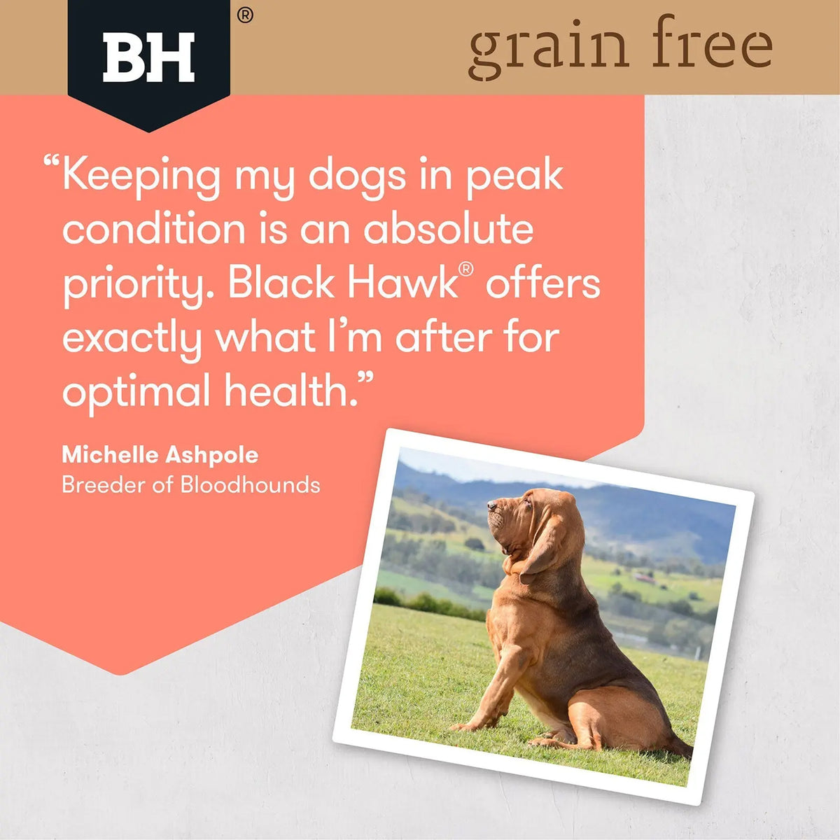 Black Hawk Adult Grain Free Salmon Dry Dog Food