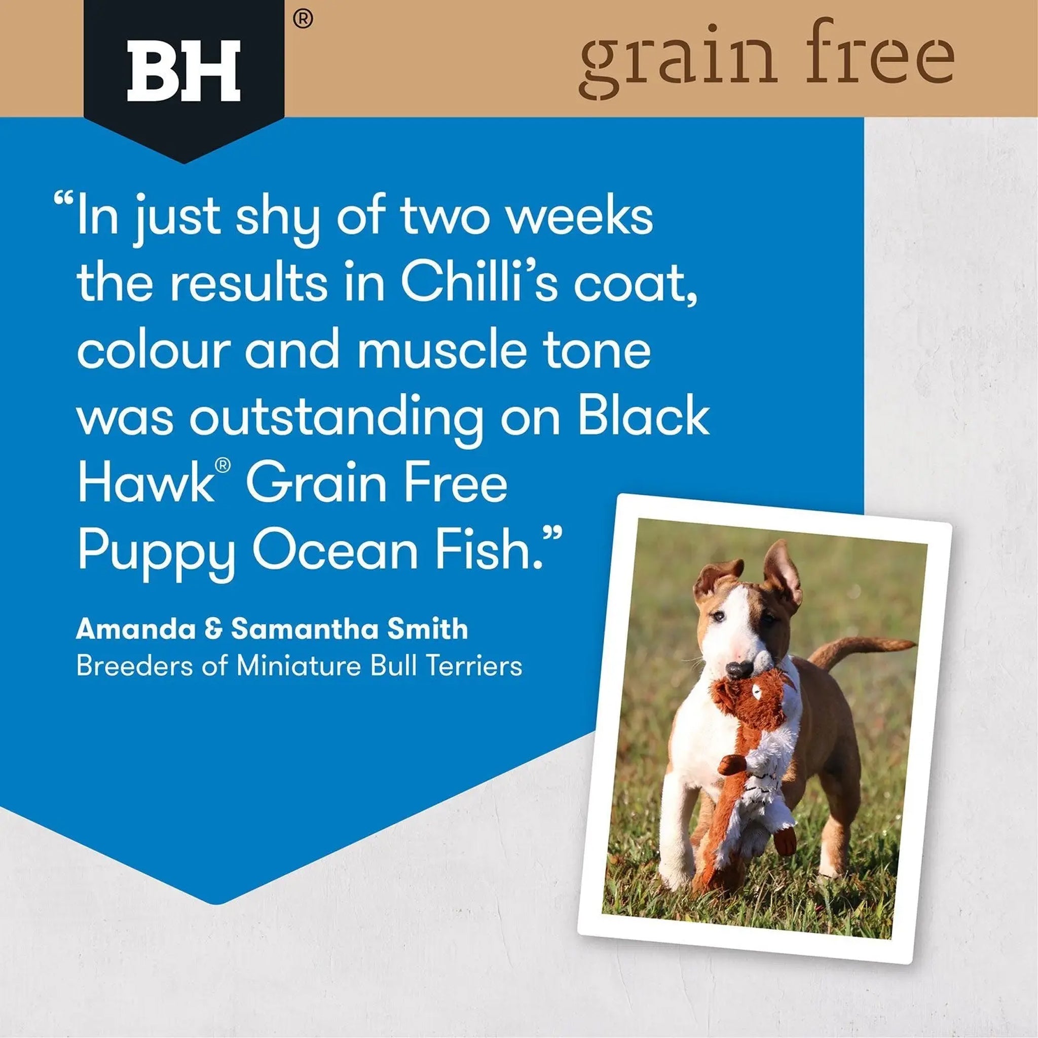 Black Hawk Grain Free Puppy Ocean Fish