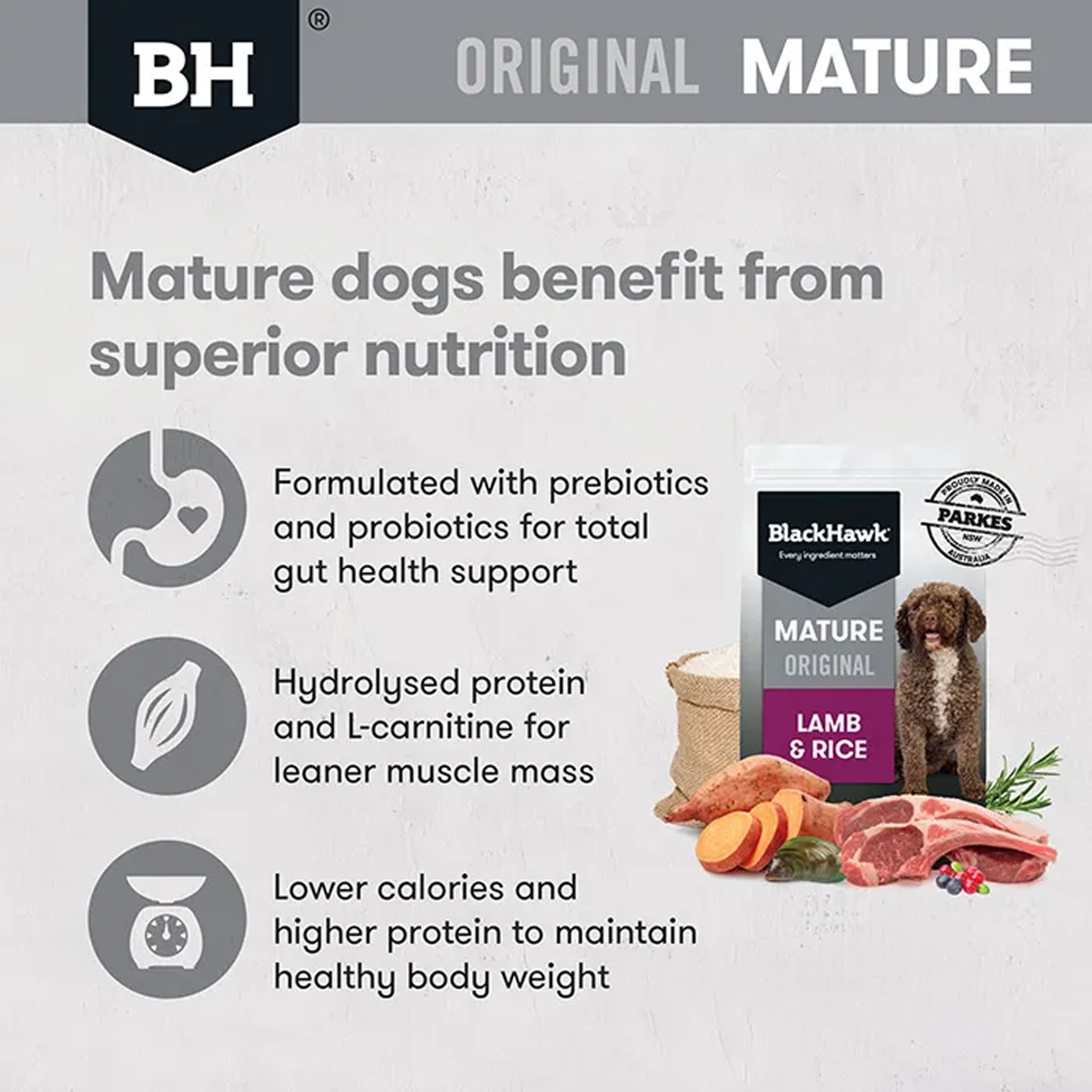 Black Hawk Mature - Lamb & Rice