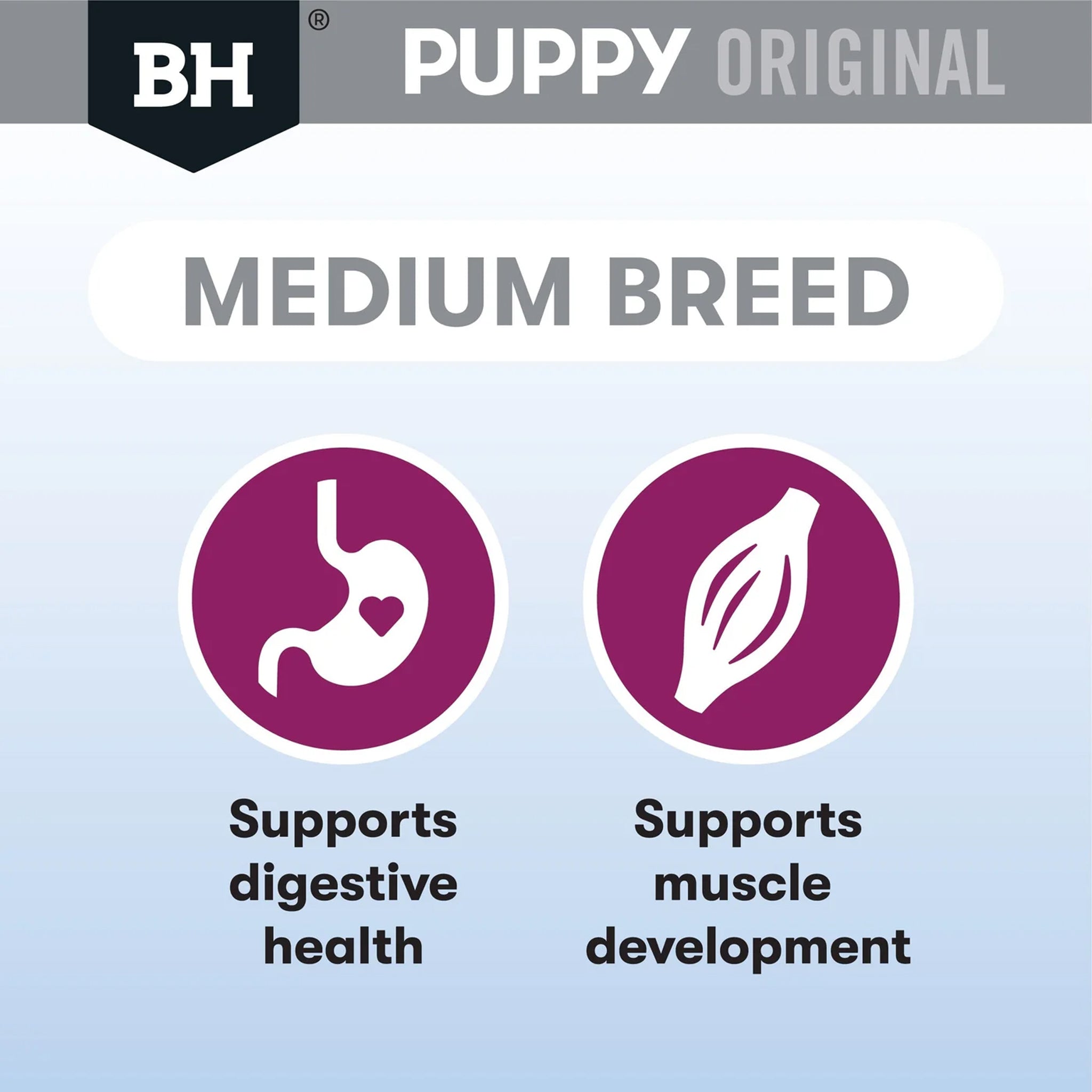 Black Hawk Puppy Medium Breed Lamb and Rice Dry Dog Food