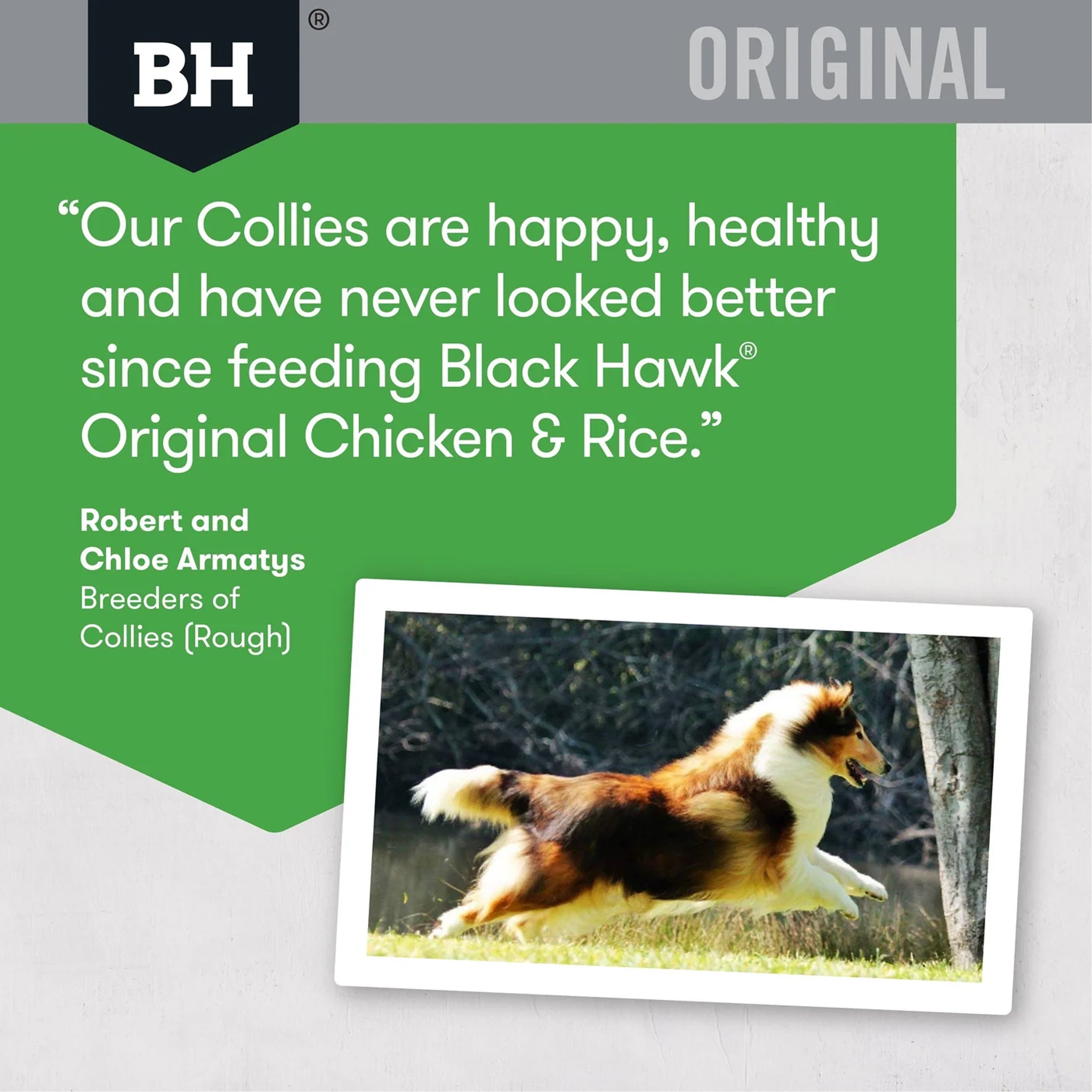 Black Hawk Adult Chicken & Rice Dry Dog Food