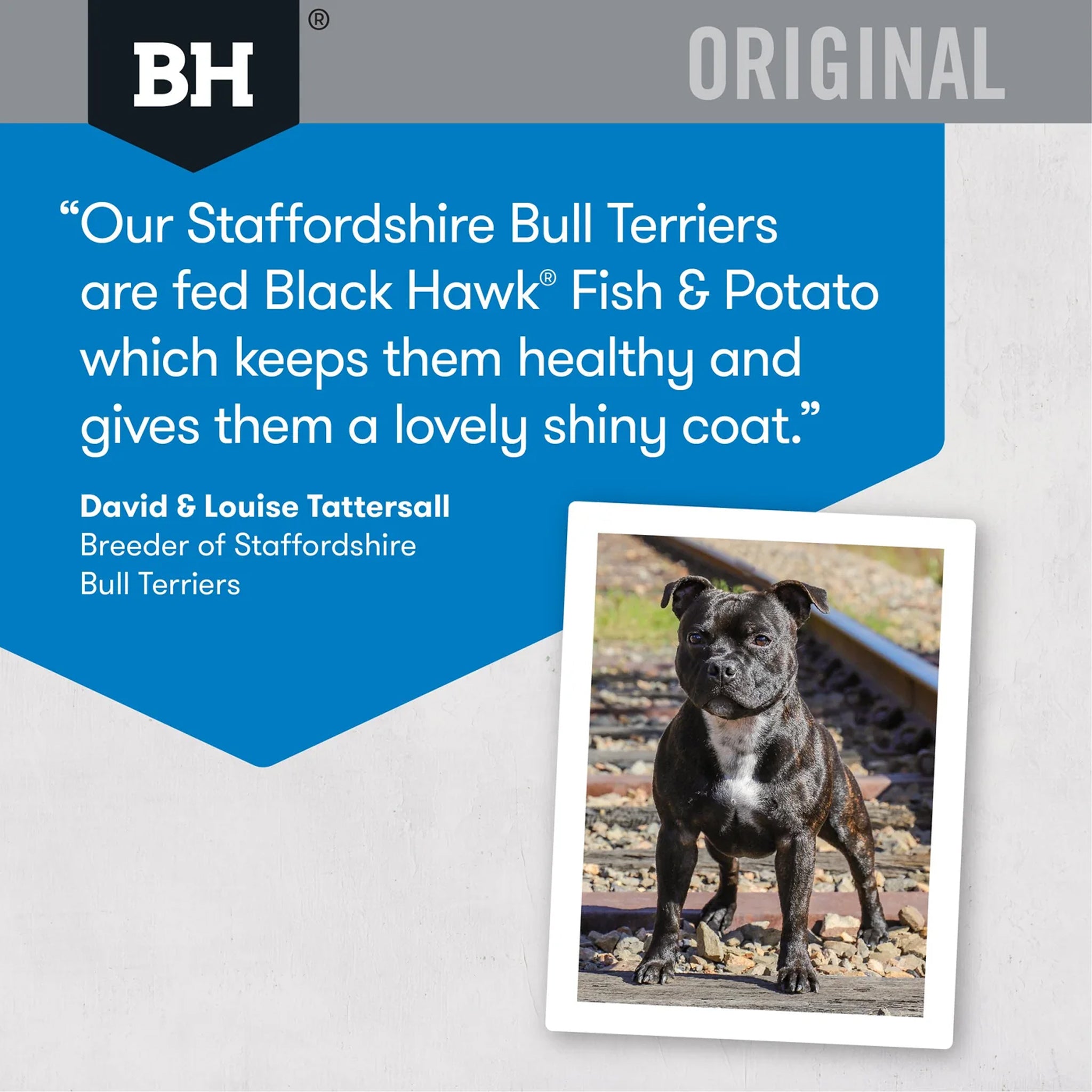 Black Hawk Adult Fish & Potato Dry Dog Food