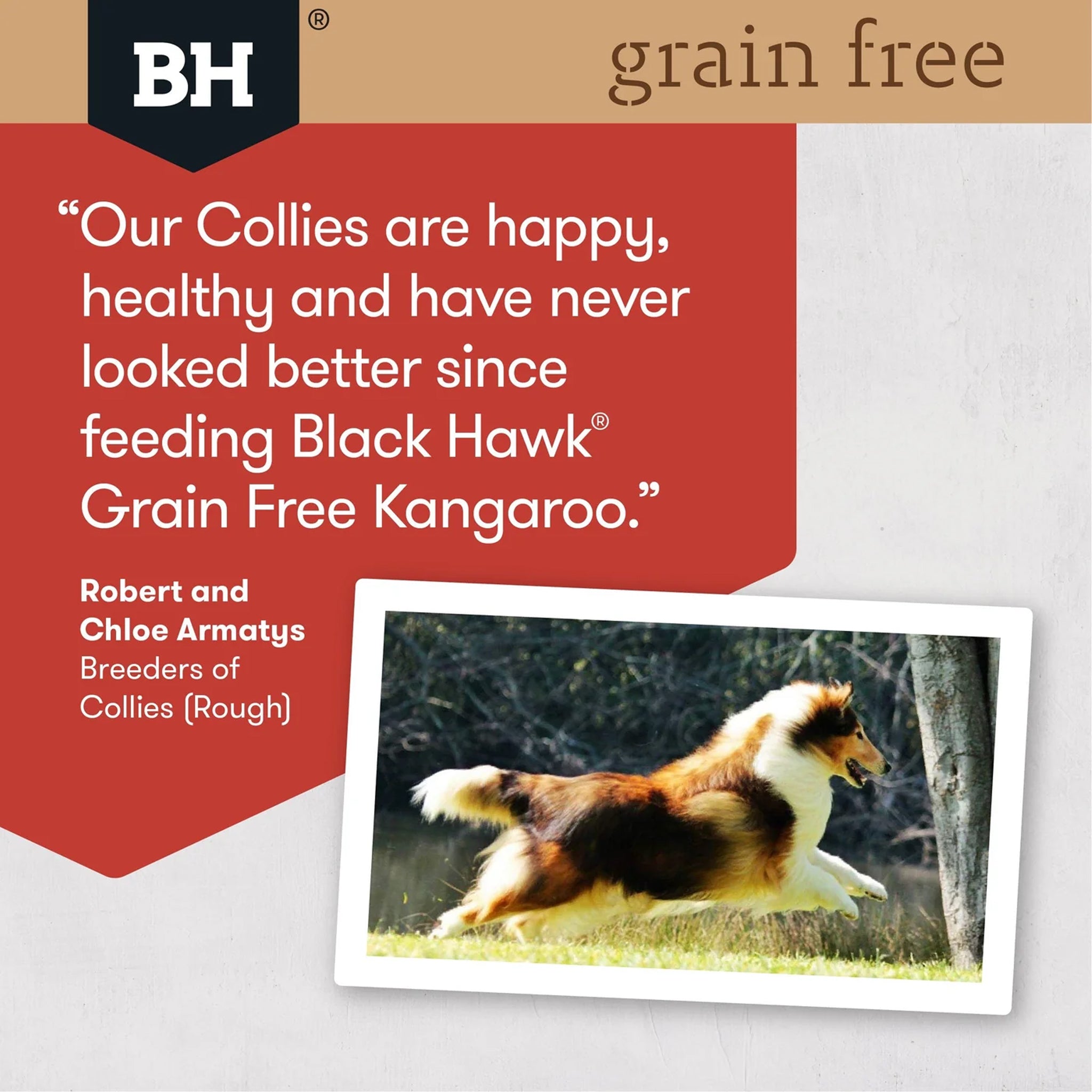 Black Hawk Adult Grain Free Kangaroo Dry Dog Food