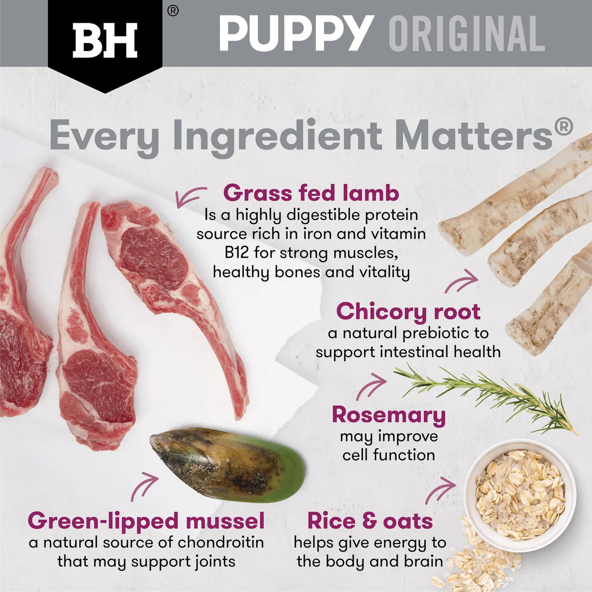 Black Hawk Puppy Large Breed Lamb and Rice Dry Dog Food