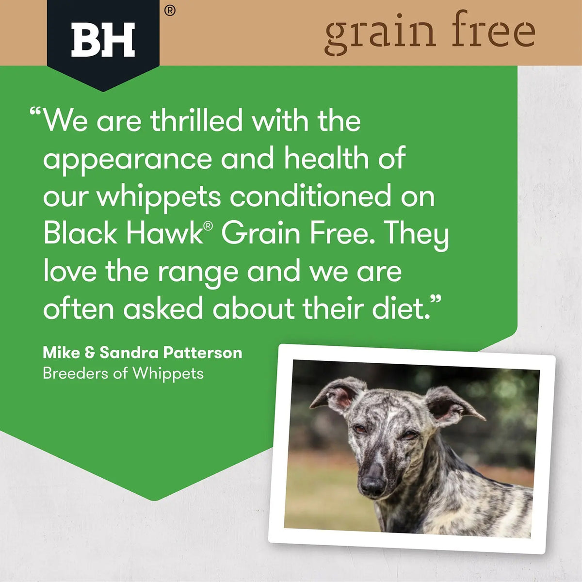 Black Hawk Grain Free - Chicken