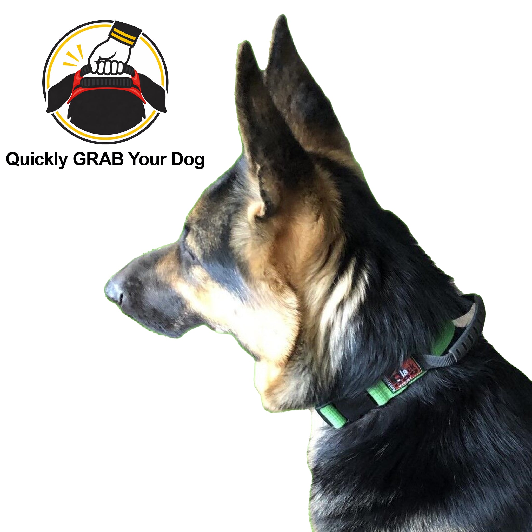 Black Dog Wear Grab Collar