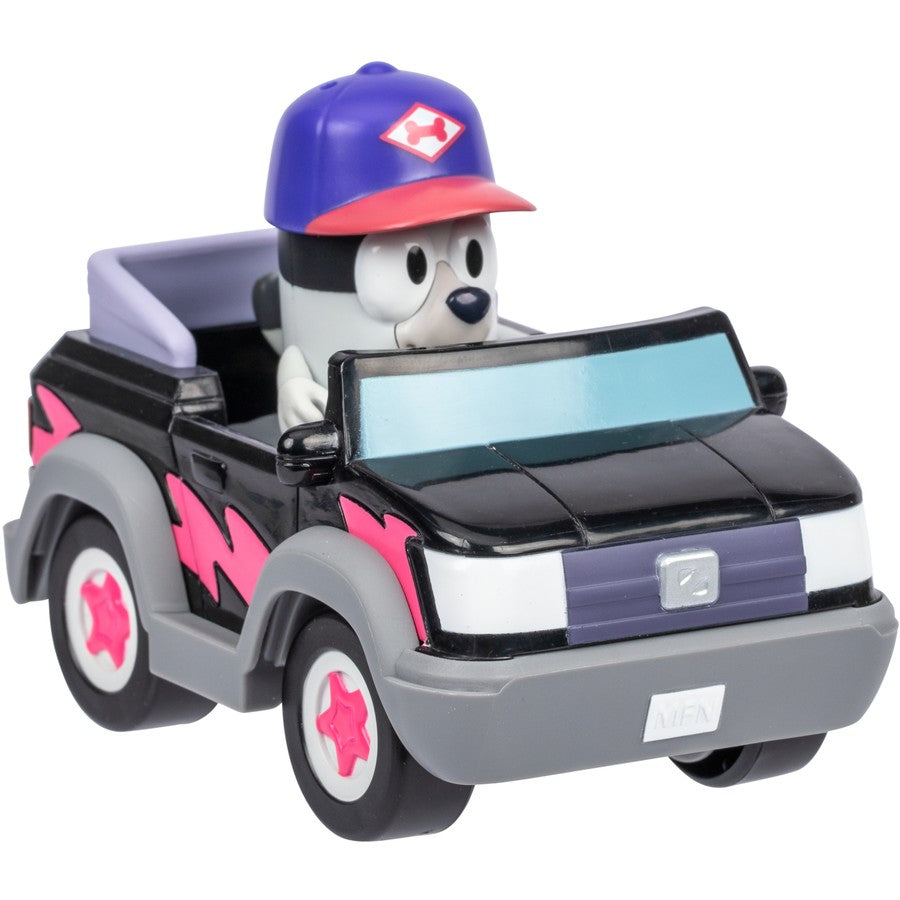 Bluey Basic Vehicle & Figure - Assorted