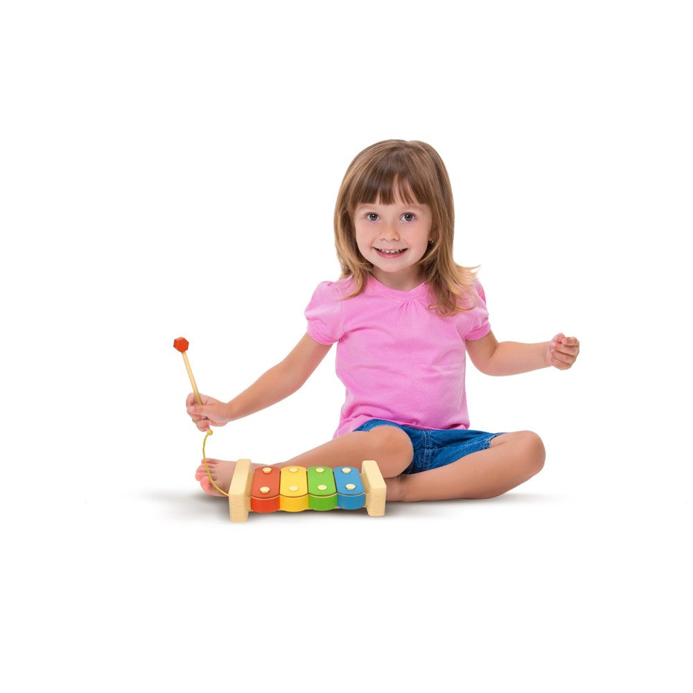 Bluey Magic Xylophone