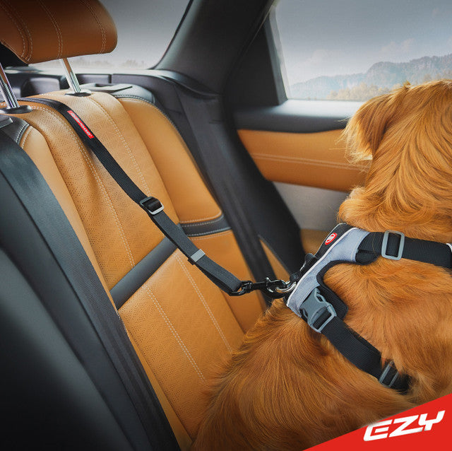 EzyDog ISOFIX Click Seat Belt - Standard (43 - 65cm)
