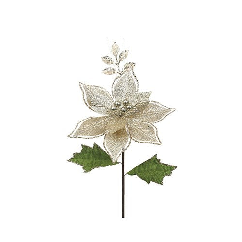 Champagne Poinsettia With Leaves 22cm