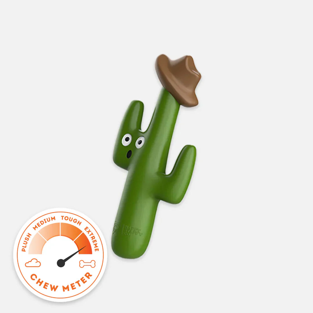 Happy Staffy Cactus Cowboy