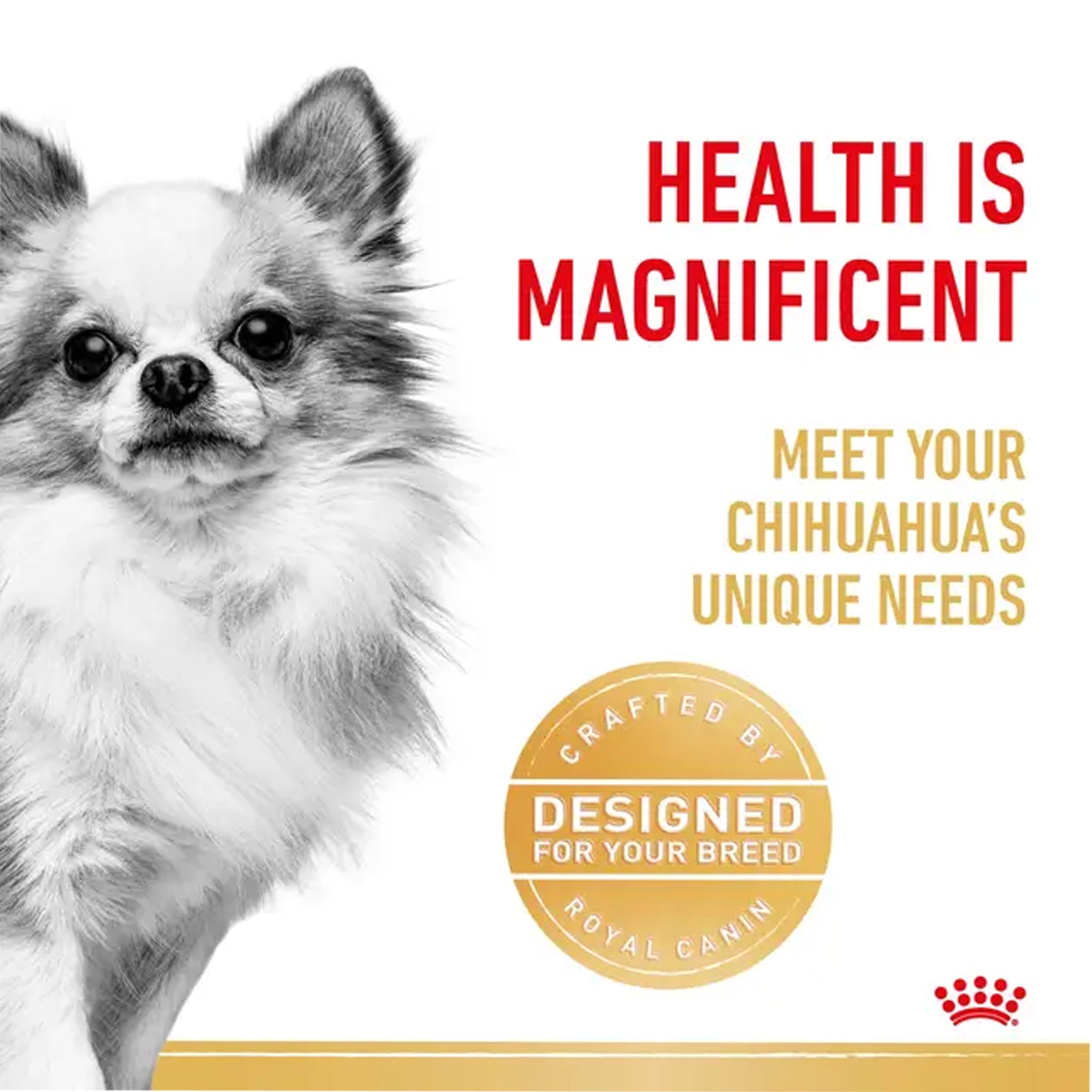 Royal Canin Dog Chihuahua