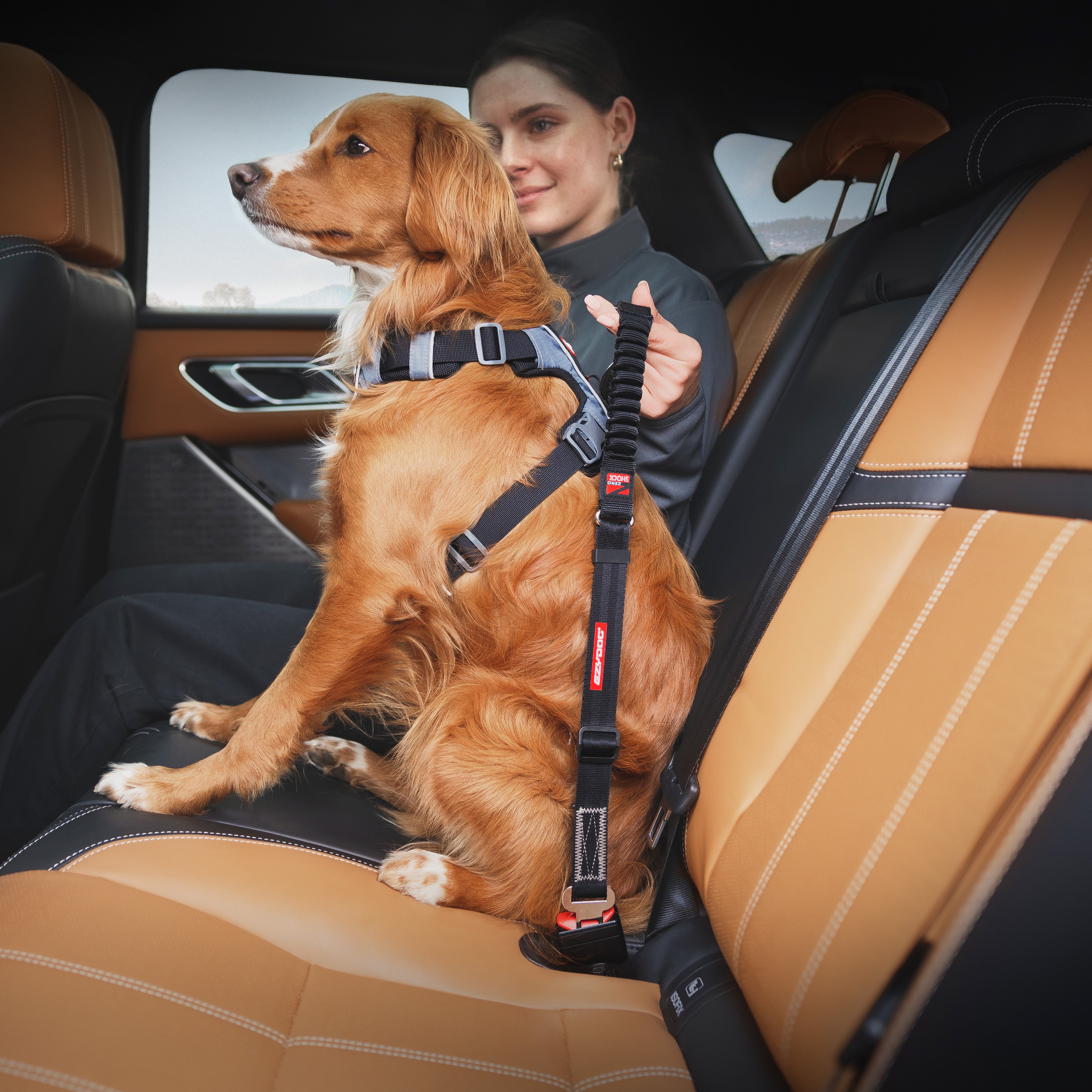 EzyDog Click Zero-Shock Car Restraint - Black