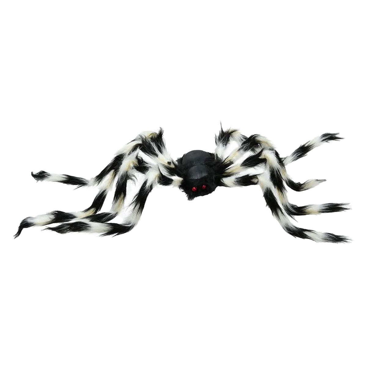 Colourful Hairy Spider 90cm Assorted