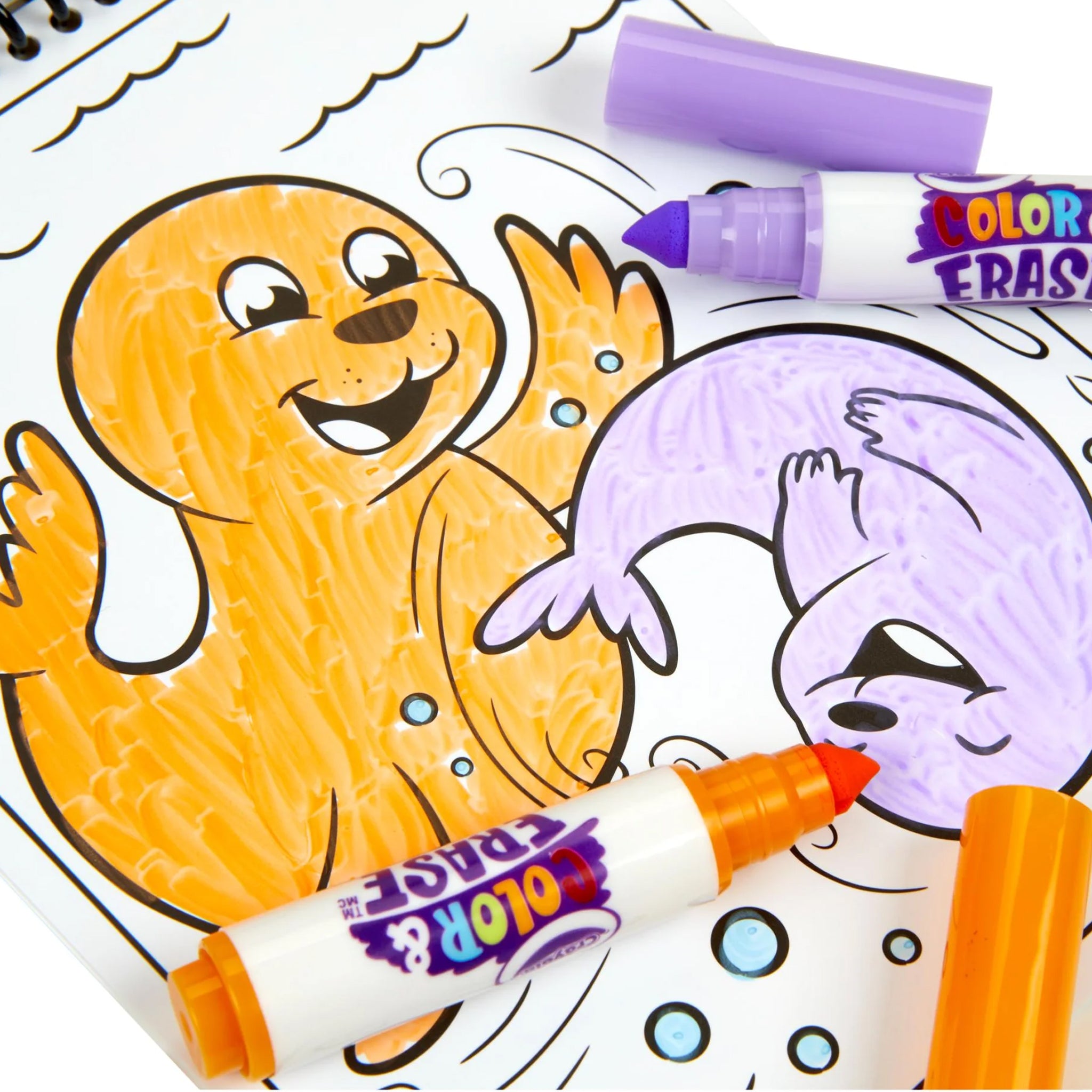 Crayola Color & Erase Reusable Activity Pad - Under the Sea