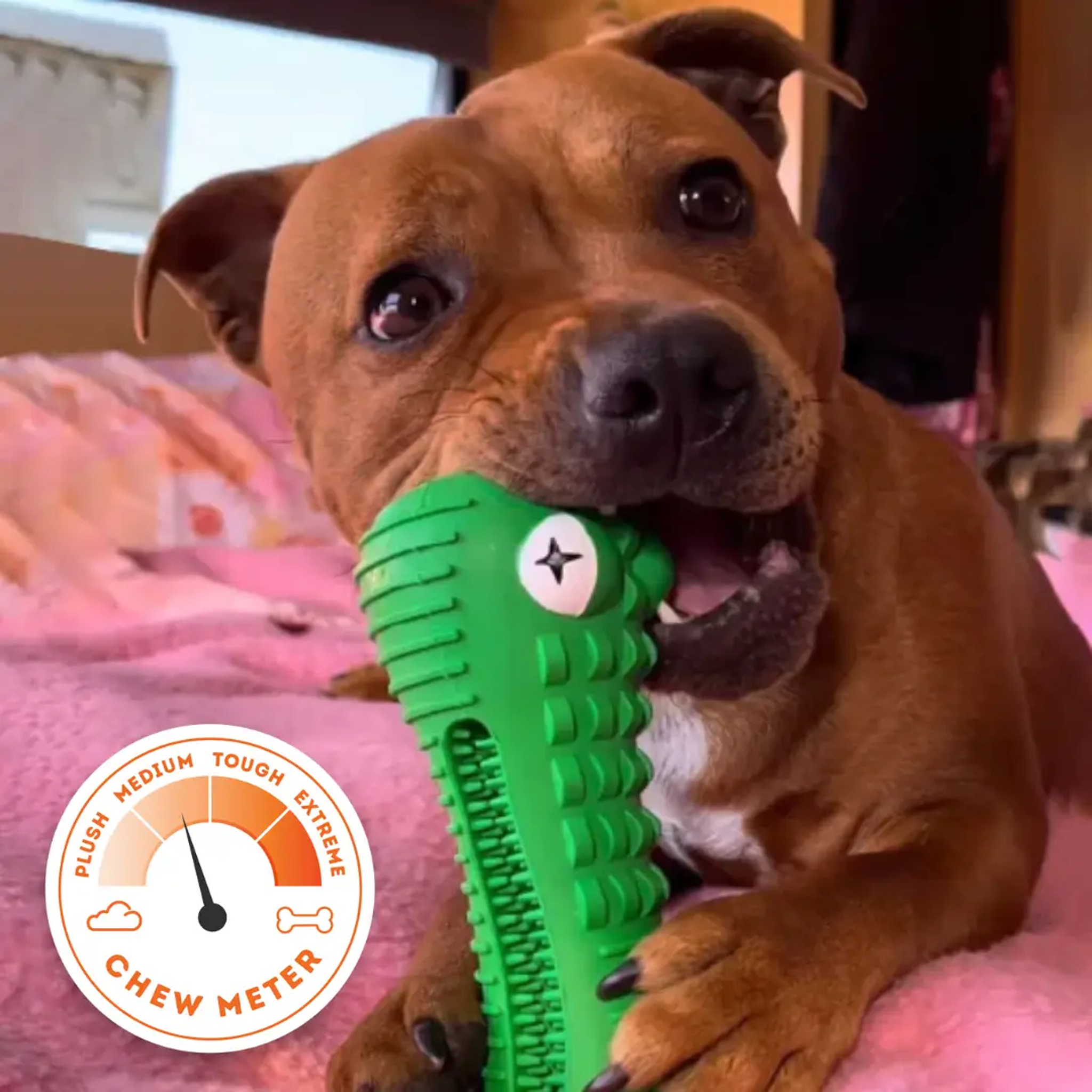 Happy Staffy Crocodile Dental Chew