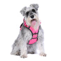 DOOG Neotech Harness